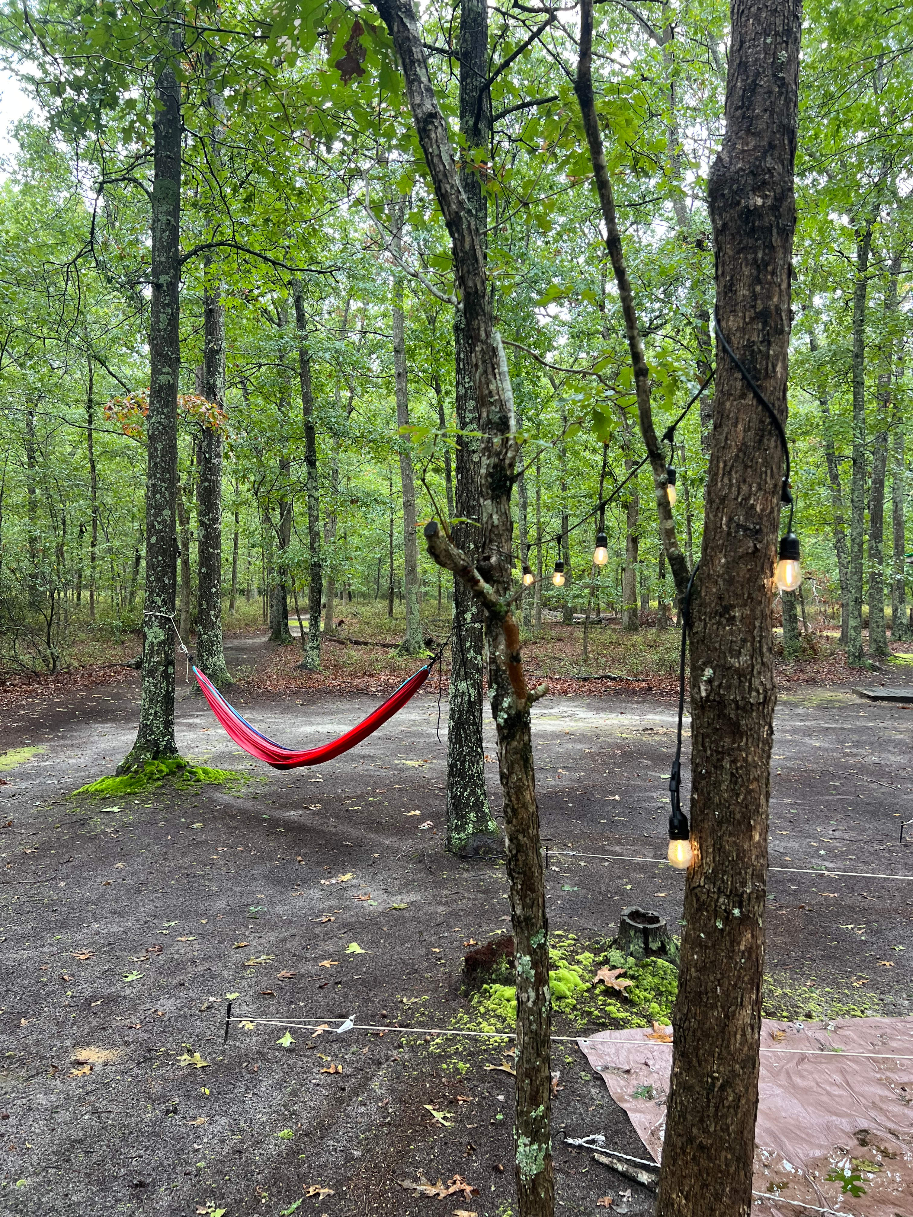 Glamping In The Woods