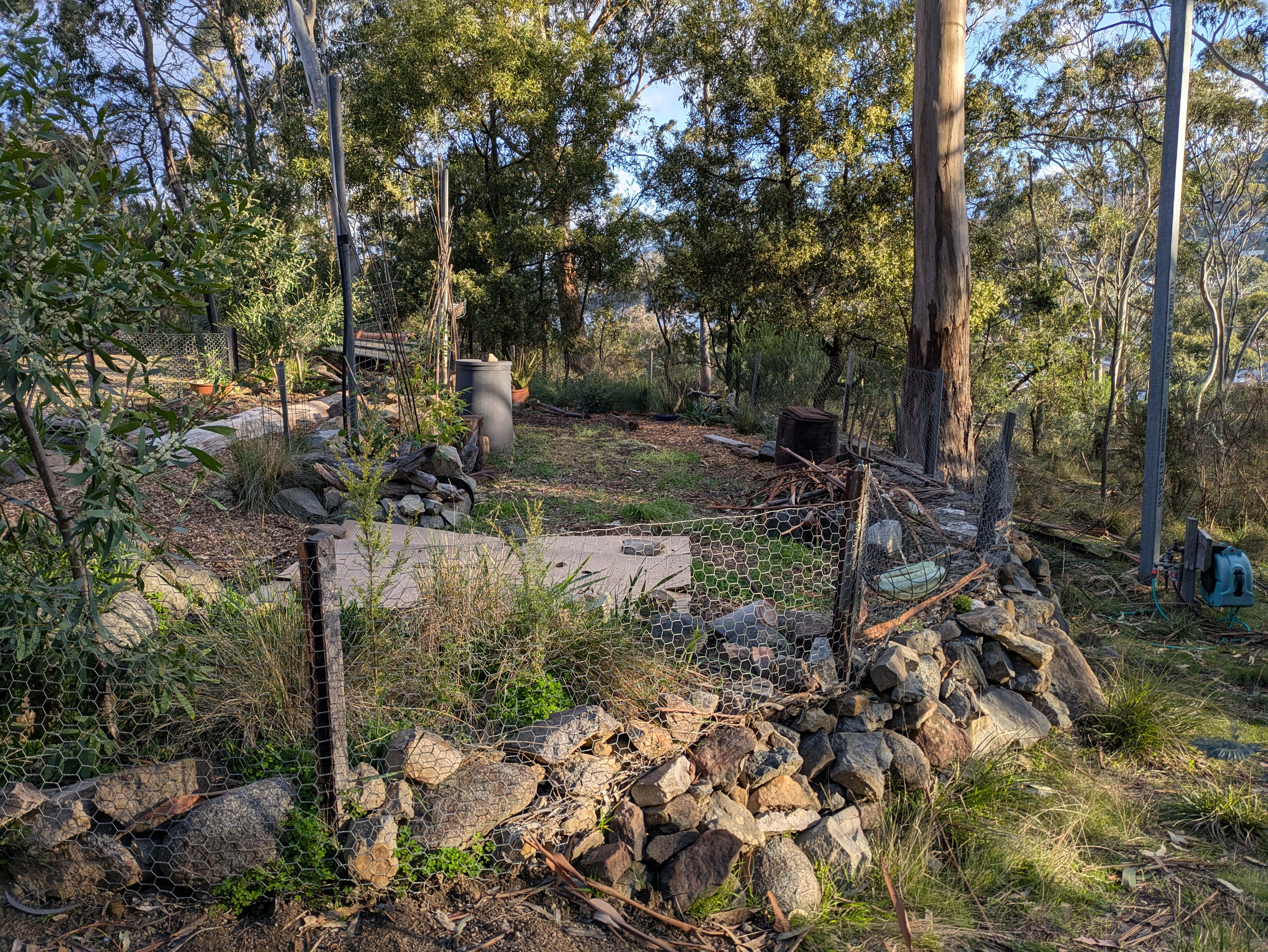Bush Refuge by the Beach