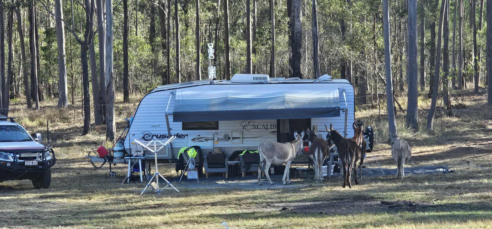 Hidden Camp Farm Stay