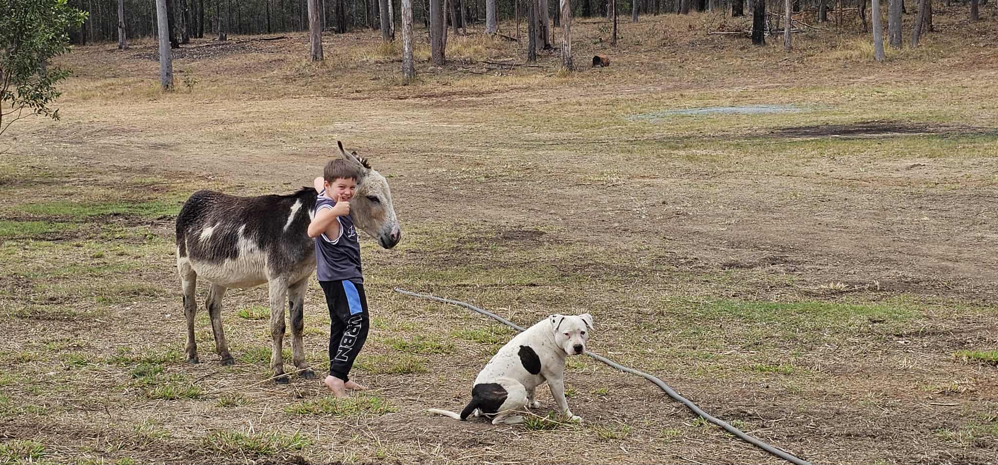 Hidden Camp Farm Stay