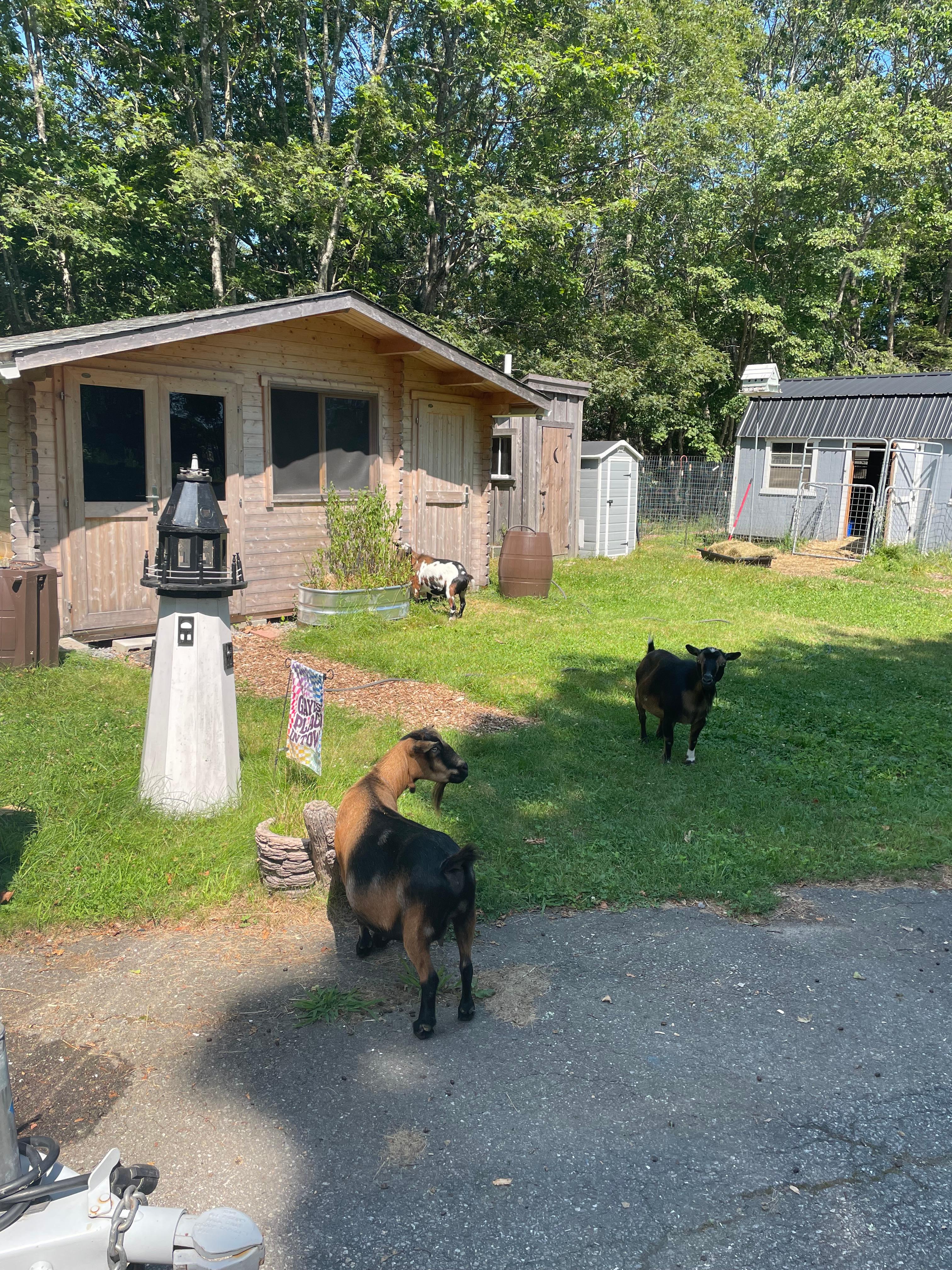 Lakeside camping near Bath Maine