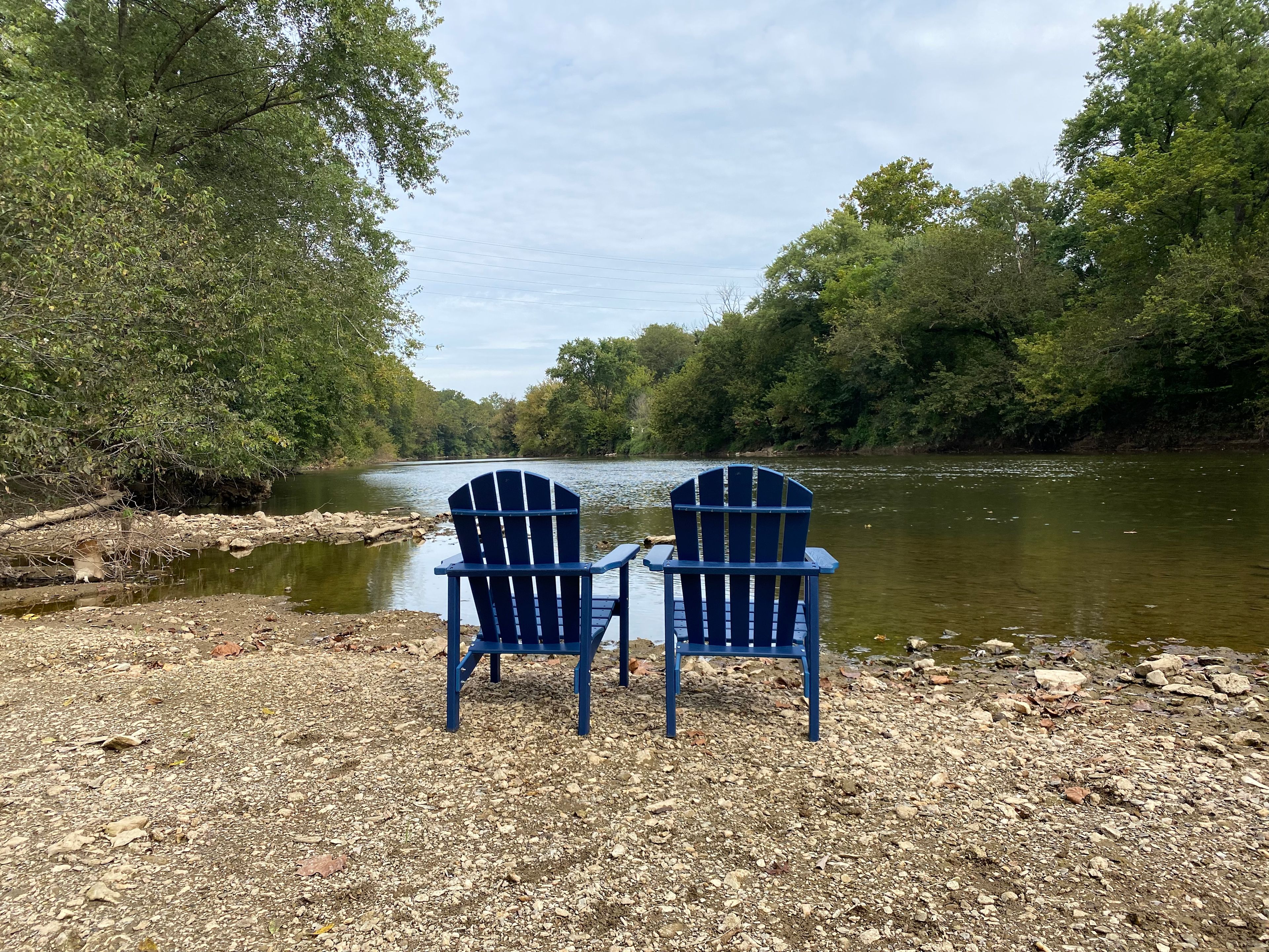 Wooded River View