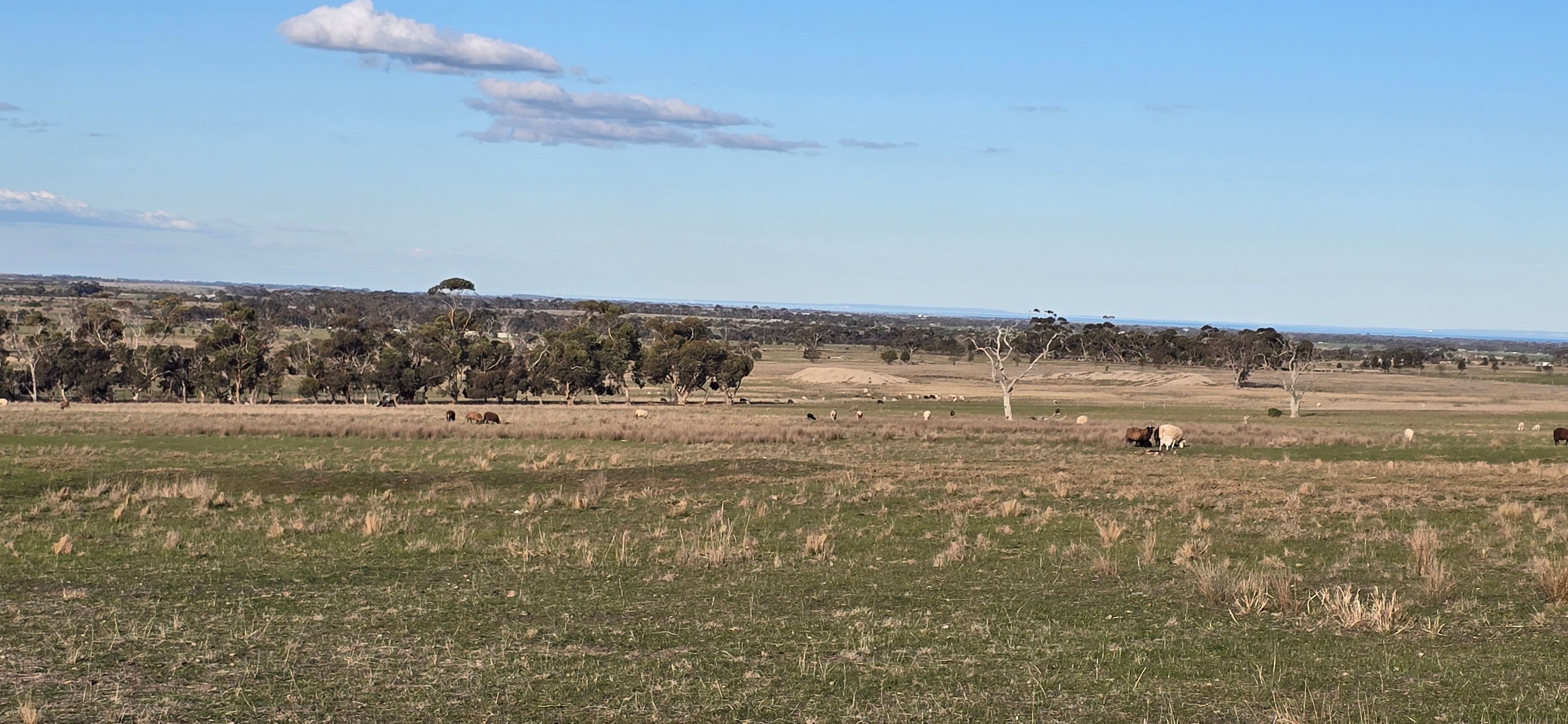 Little River Hill View Camp