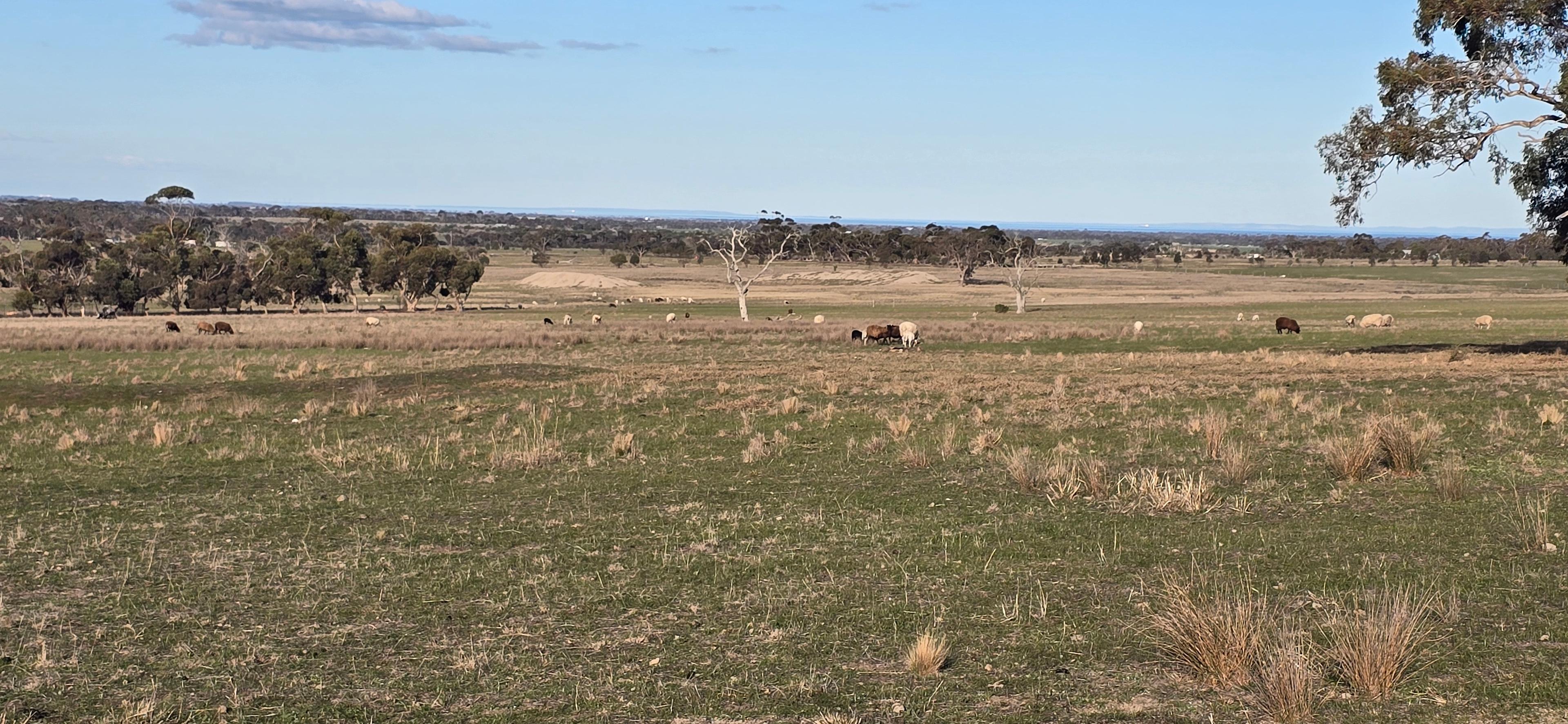 Little River Hill View Camp