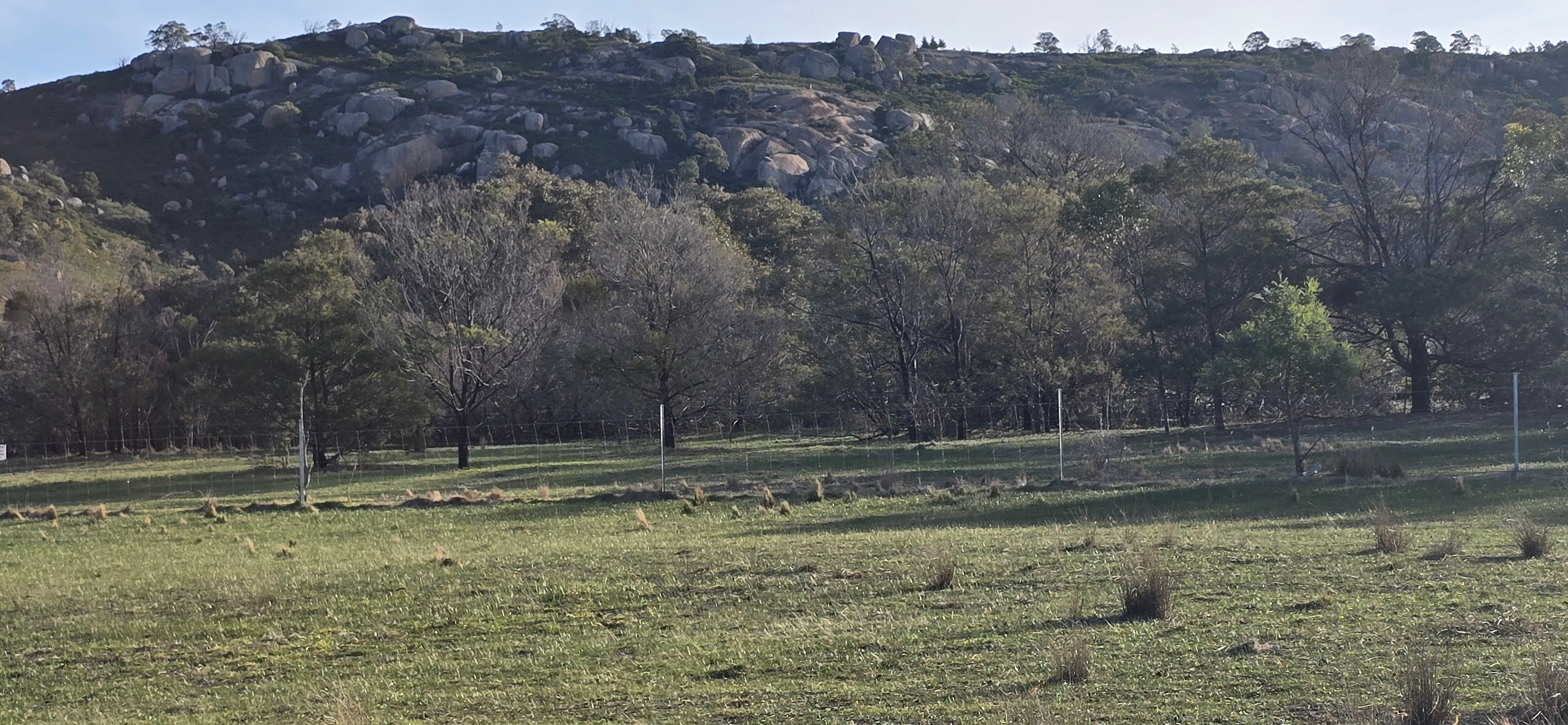 Little River Hill View Camp