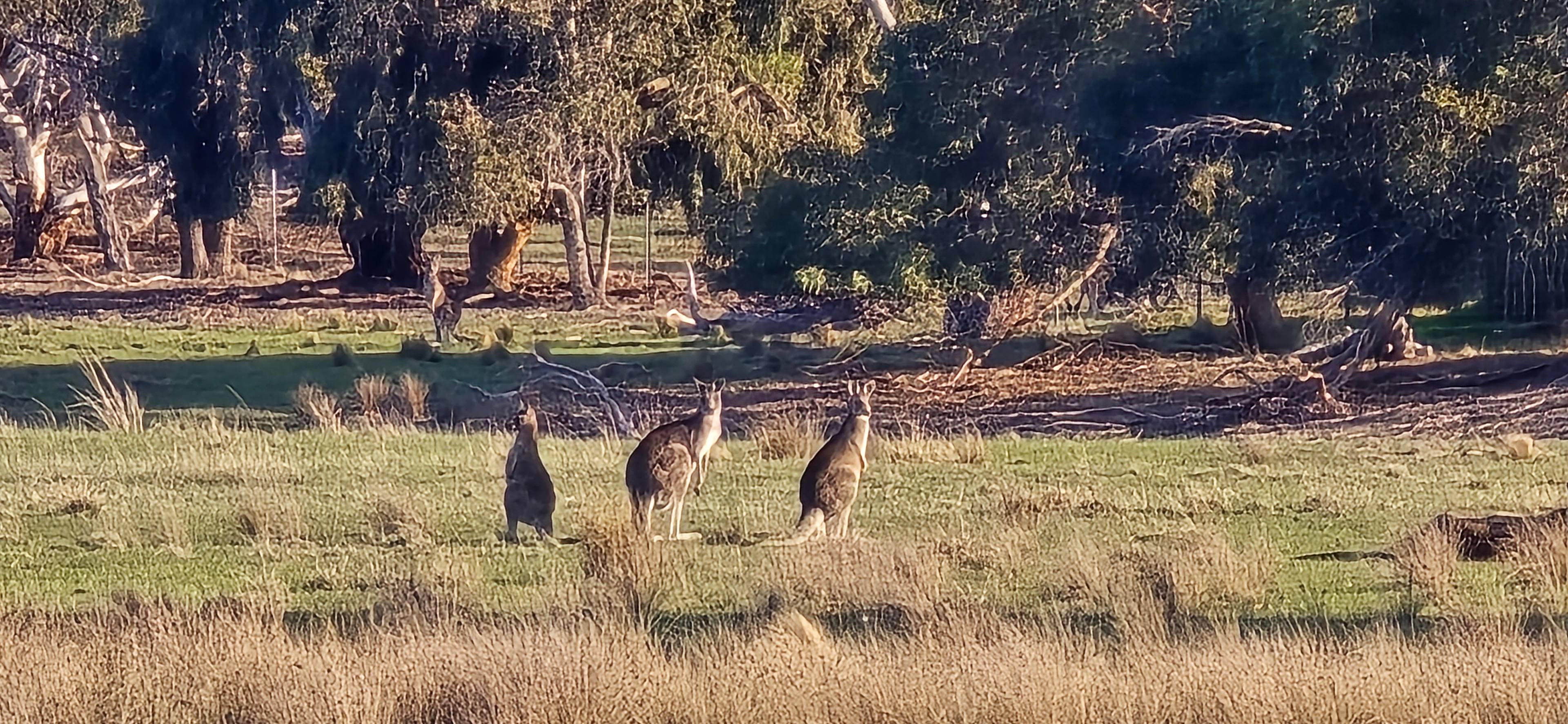 Little River Hill View Camp
