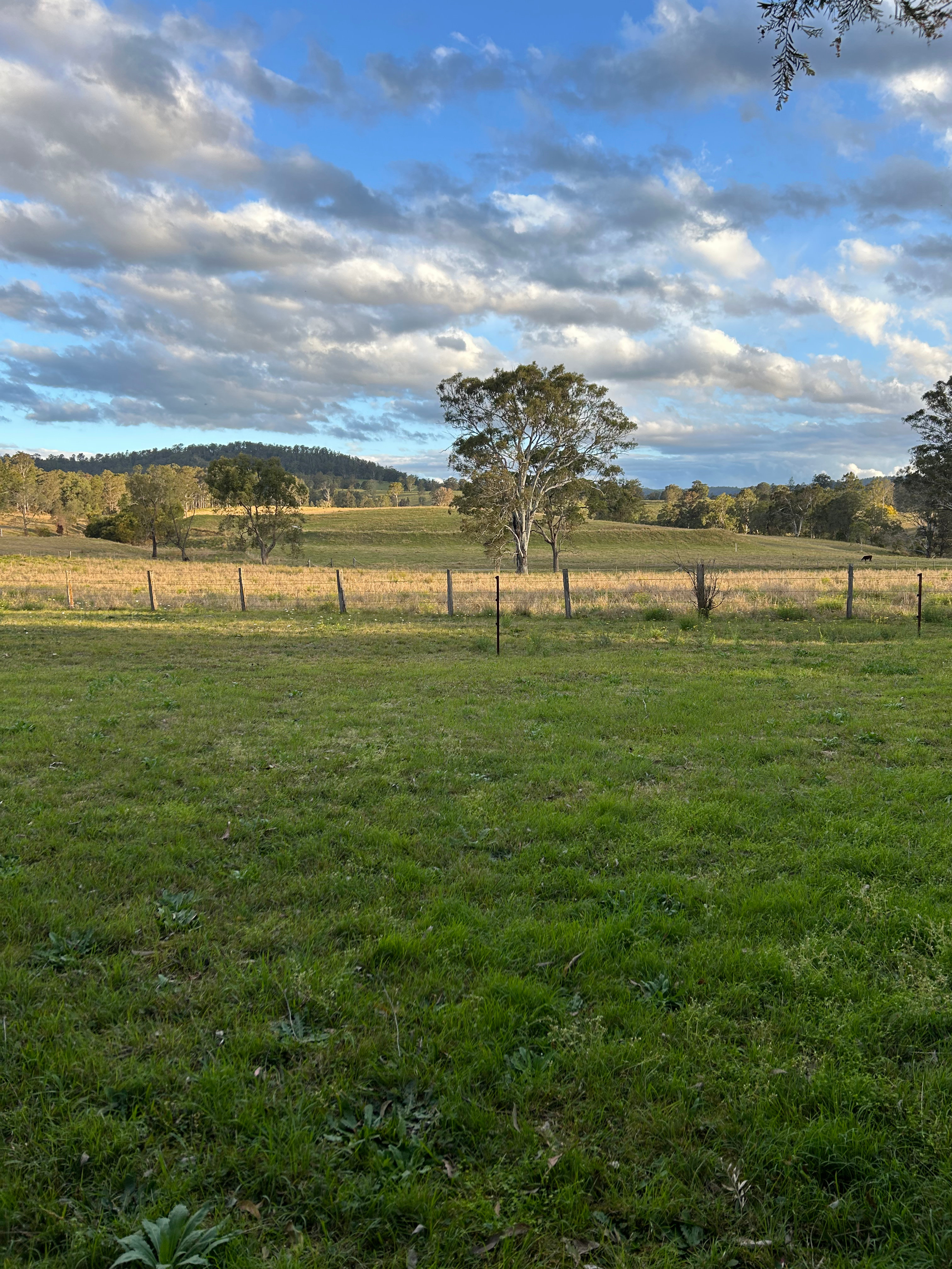 Wirrgilga River Bend