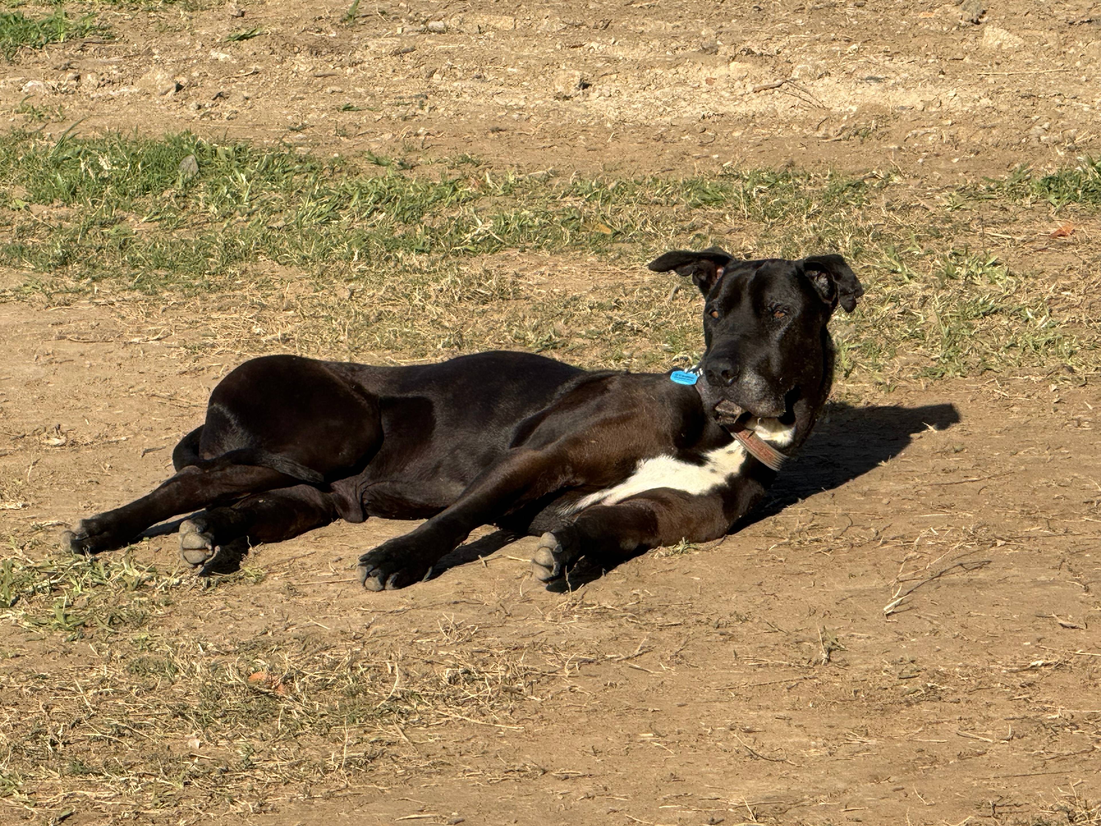 Burtons Riverside Campgrounds