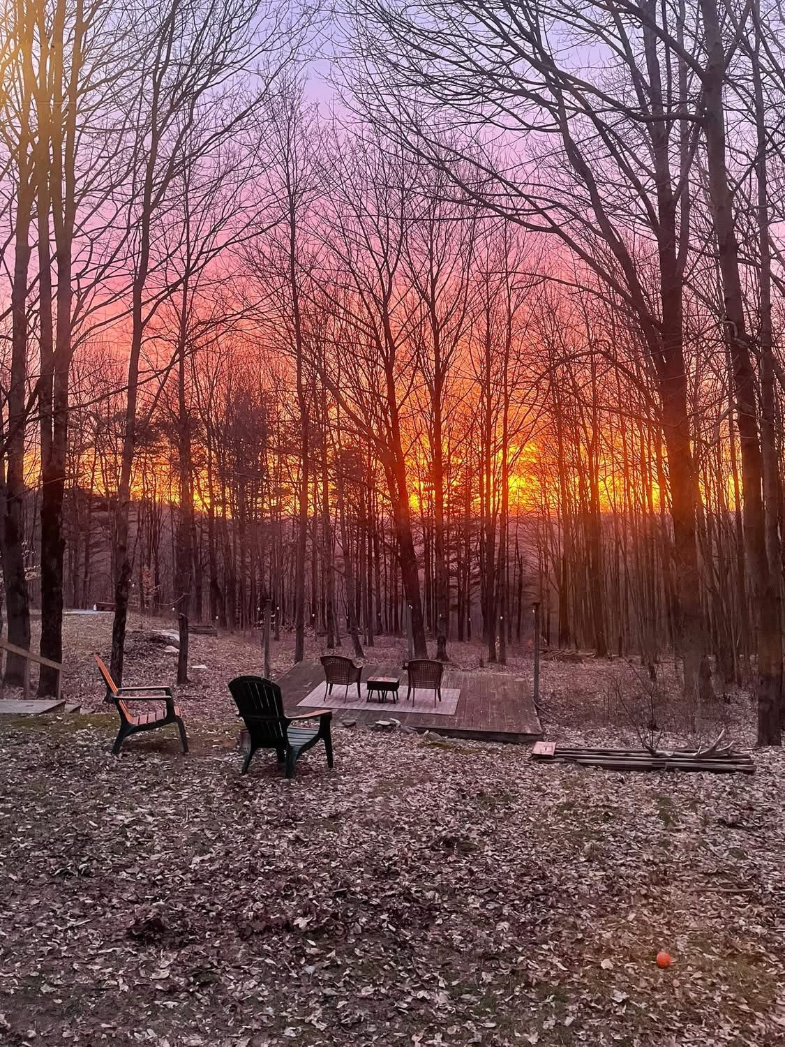 Chipmunk Hollow Soul Sanctuary