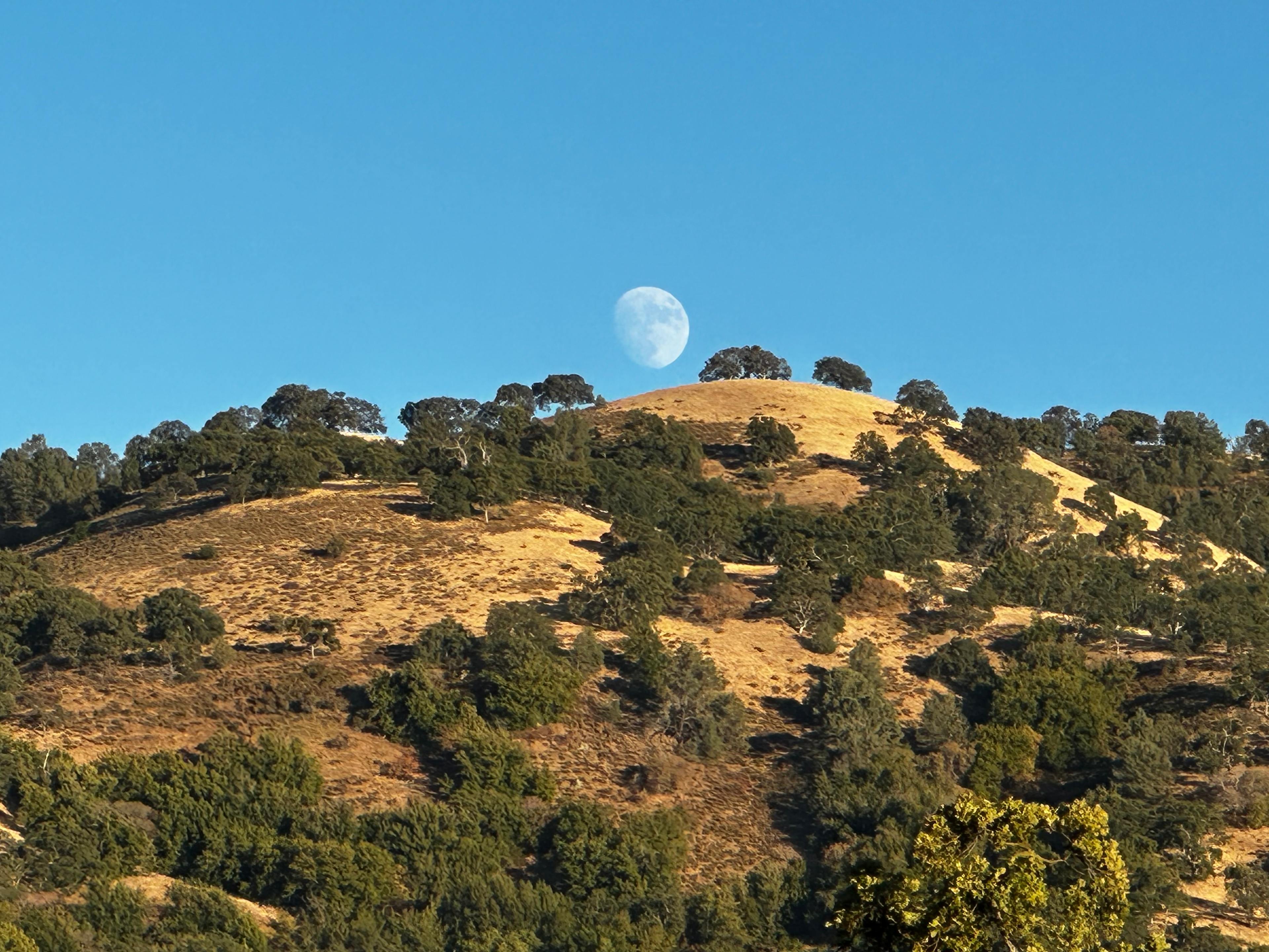 Beside Still Waters Ranch