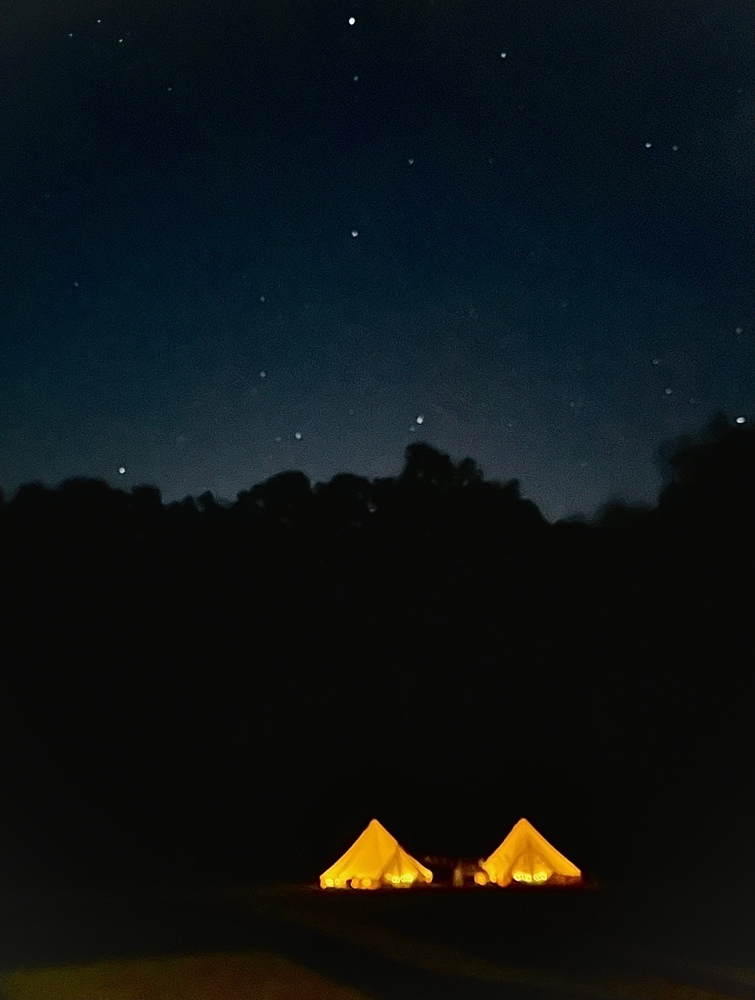 Dreamland Of MI