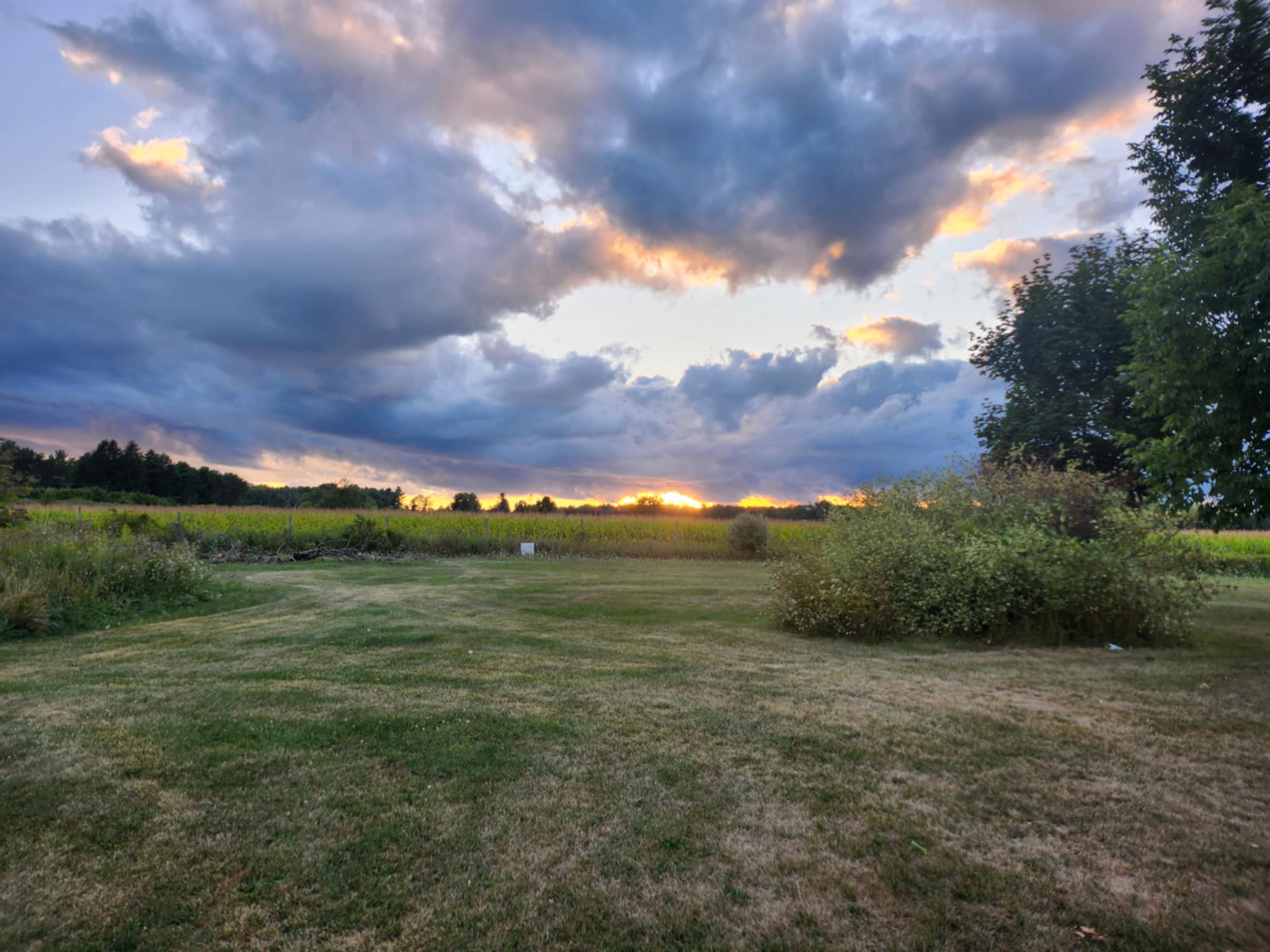 Wild Wind Sanctuary Camping