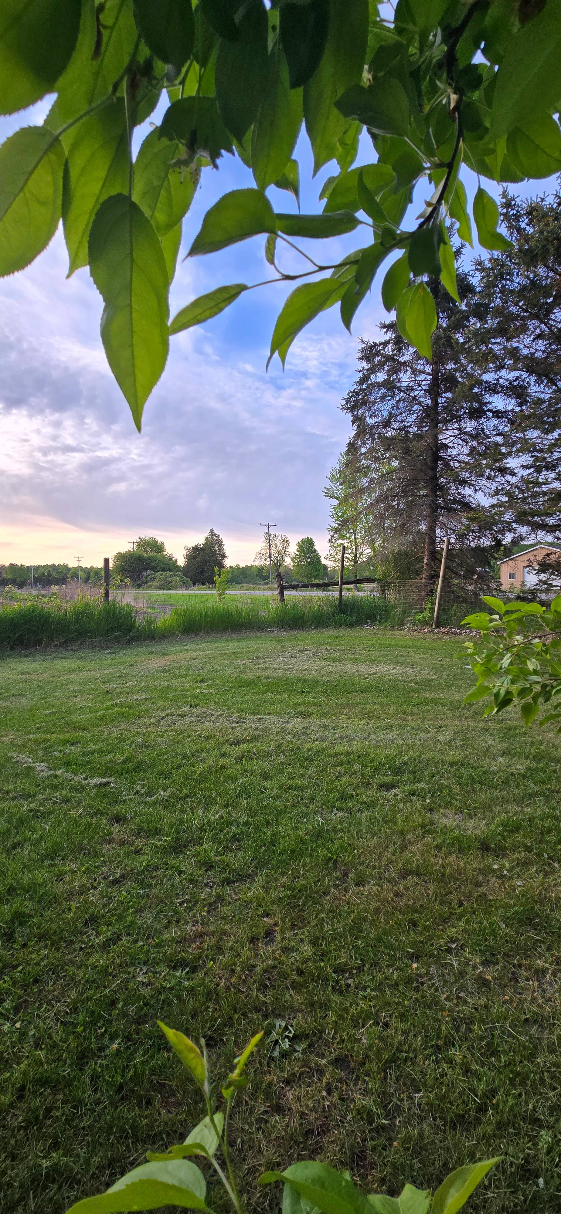 Wild Wind Sanctuary Camping