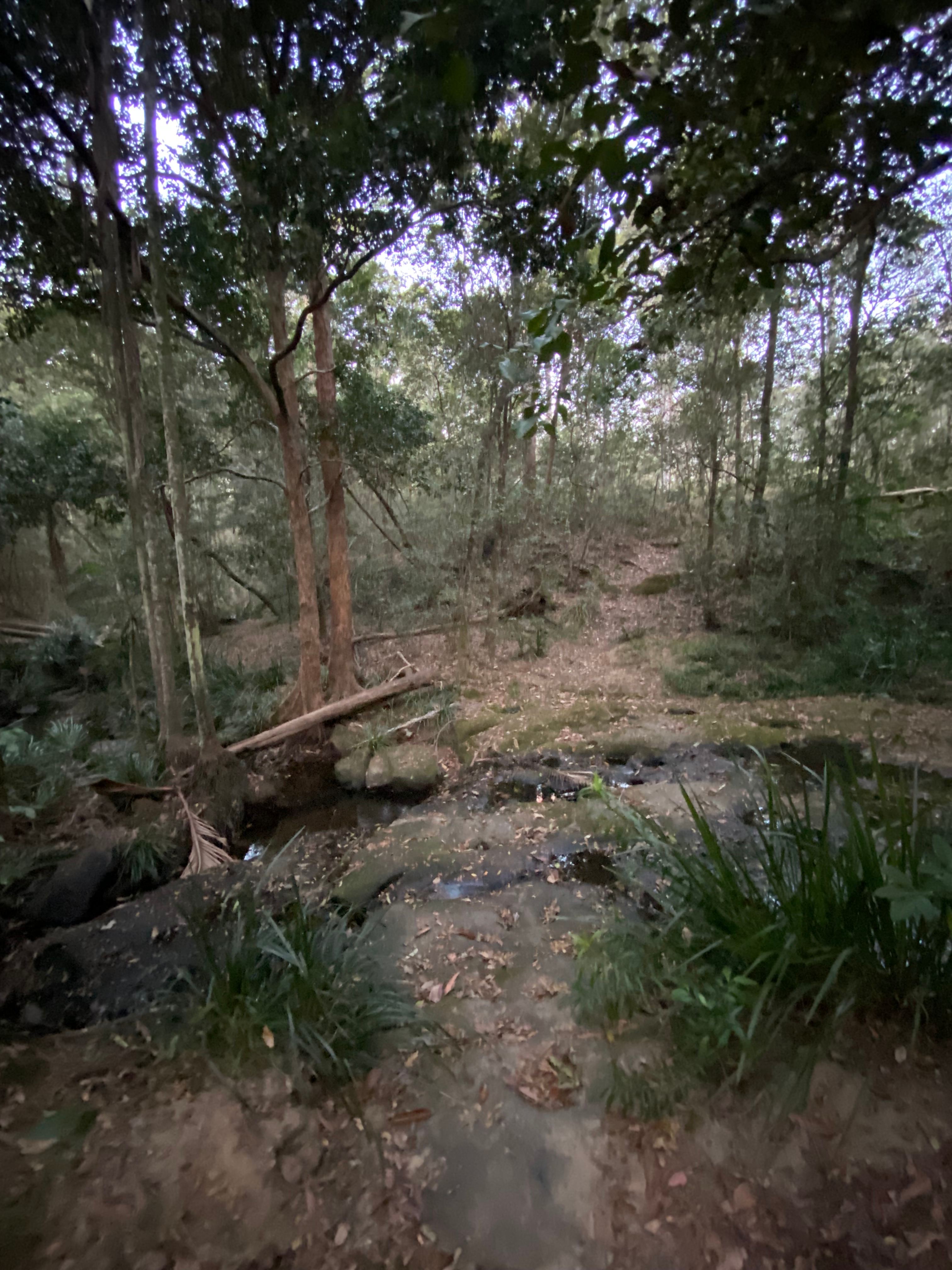 Rocky Creek Grasslands