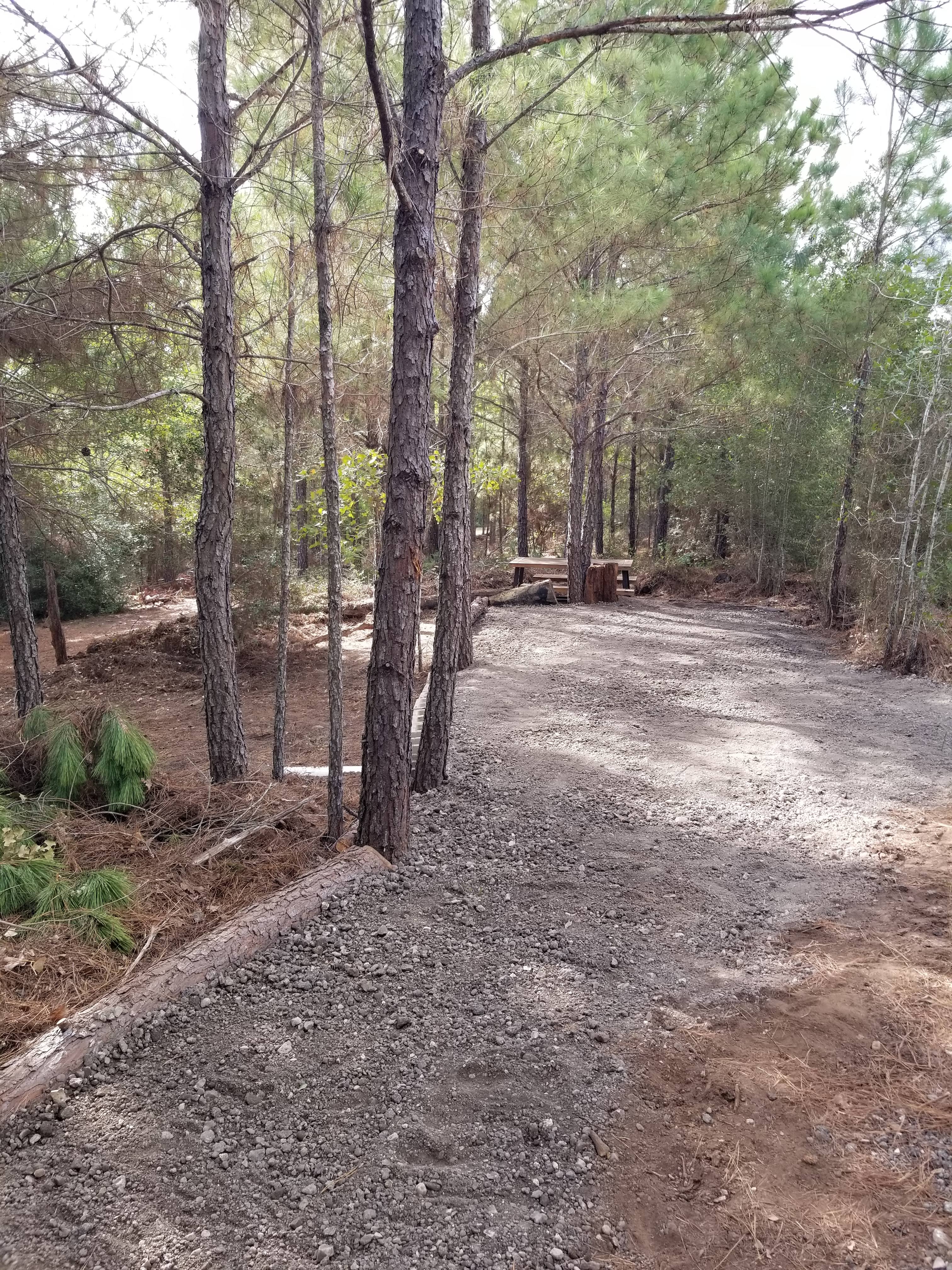 Shady Forest View Small RV Camping