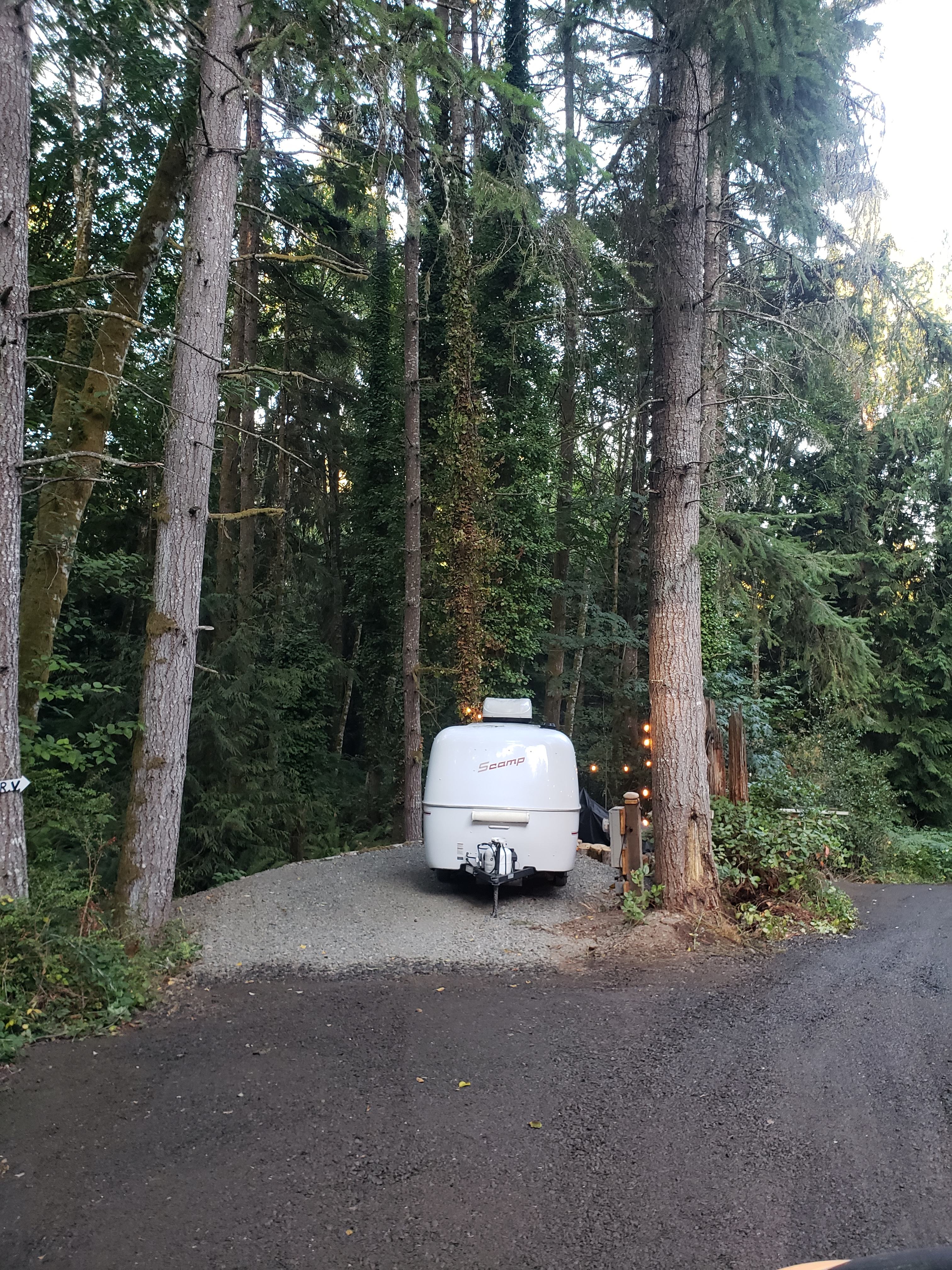 Wild Grace Forest Retreat