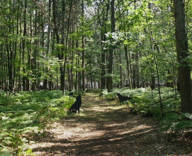 Northern Nights Campground