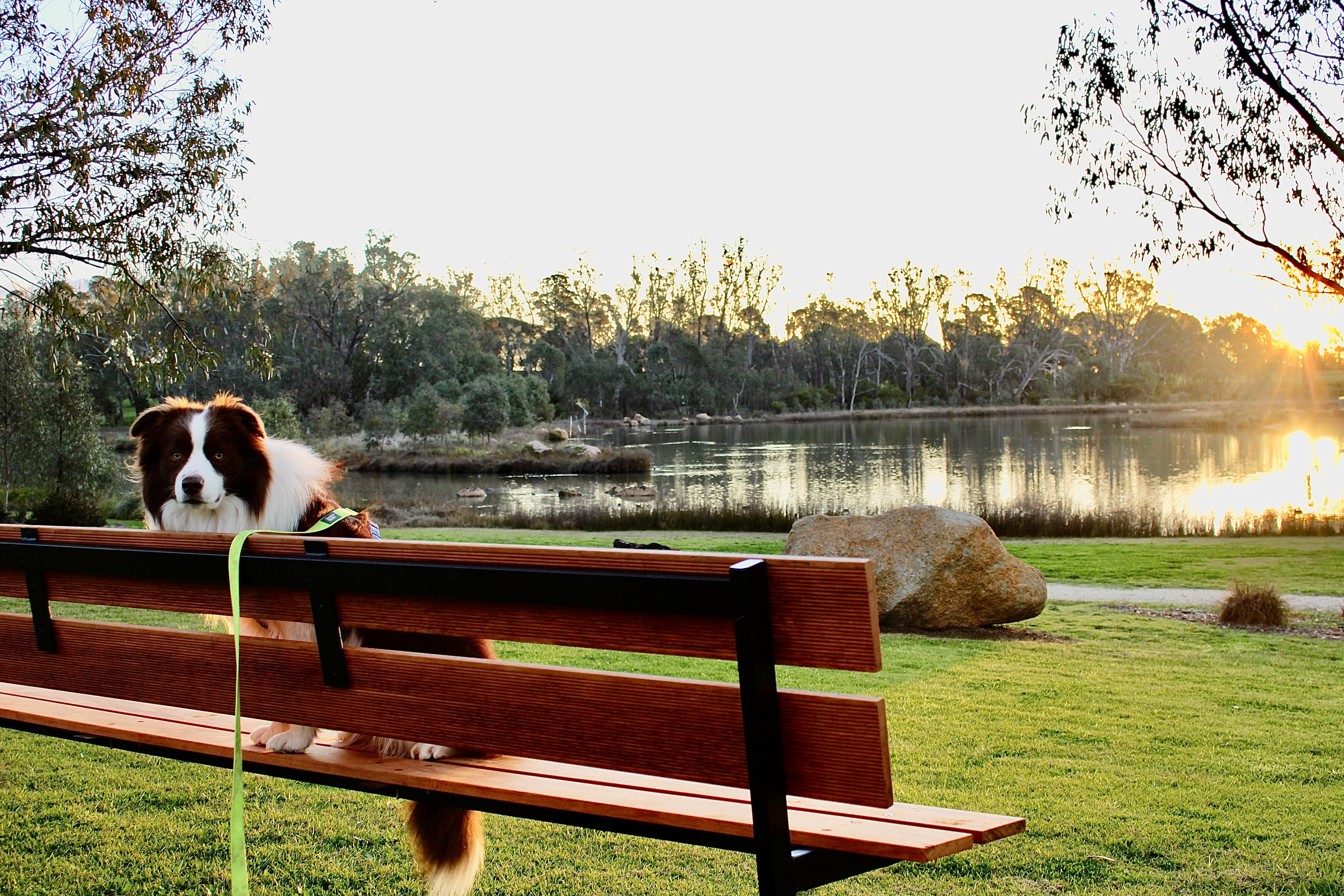 BIG4 Rutherglen Holiday Park