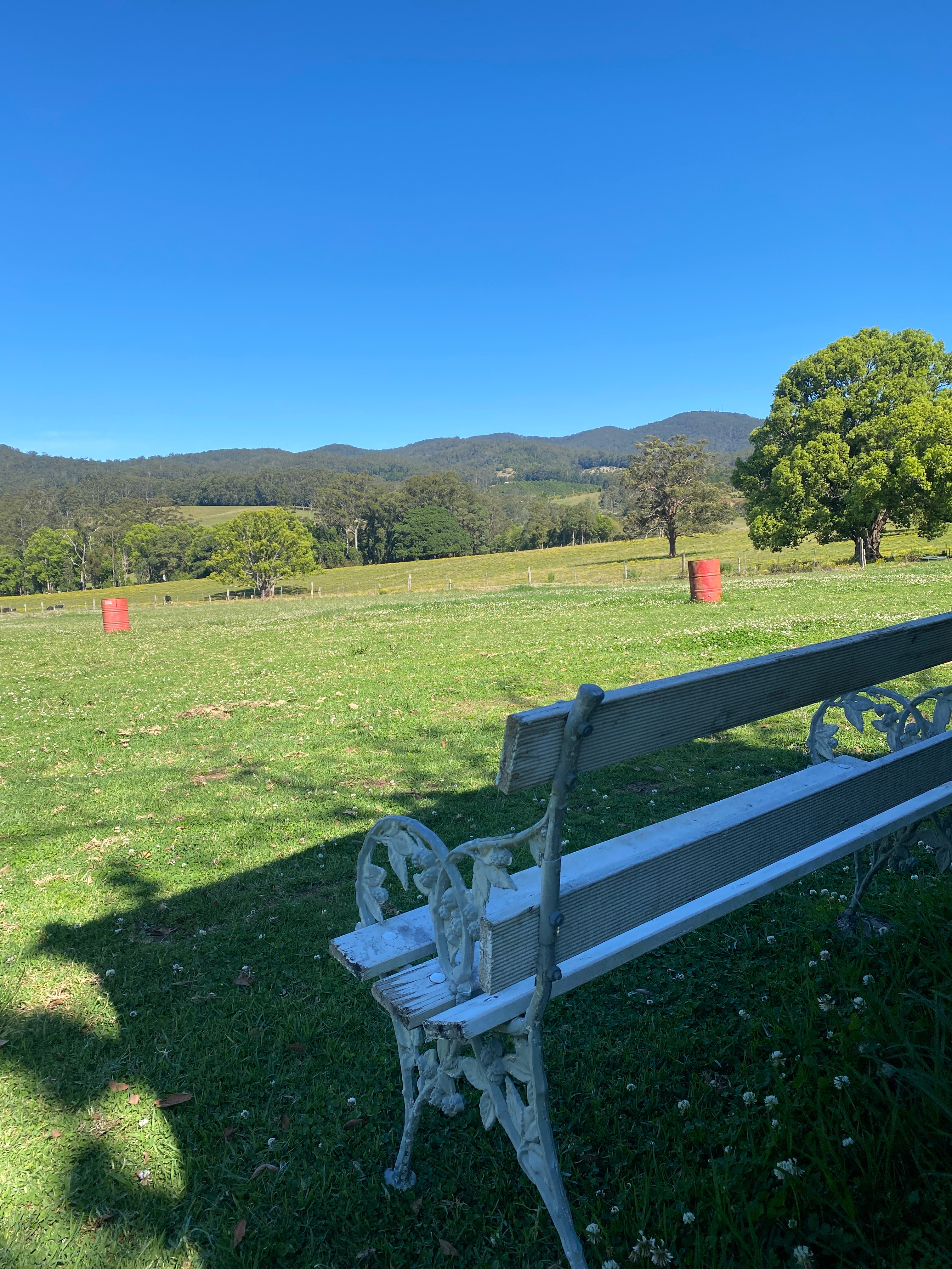 Sit back and relax ☺️ 