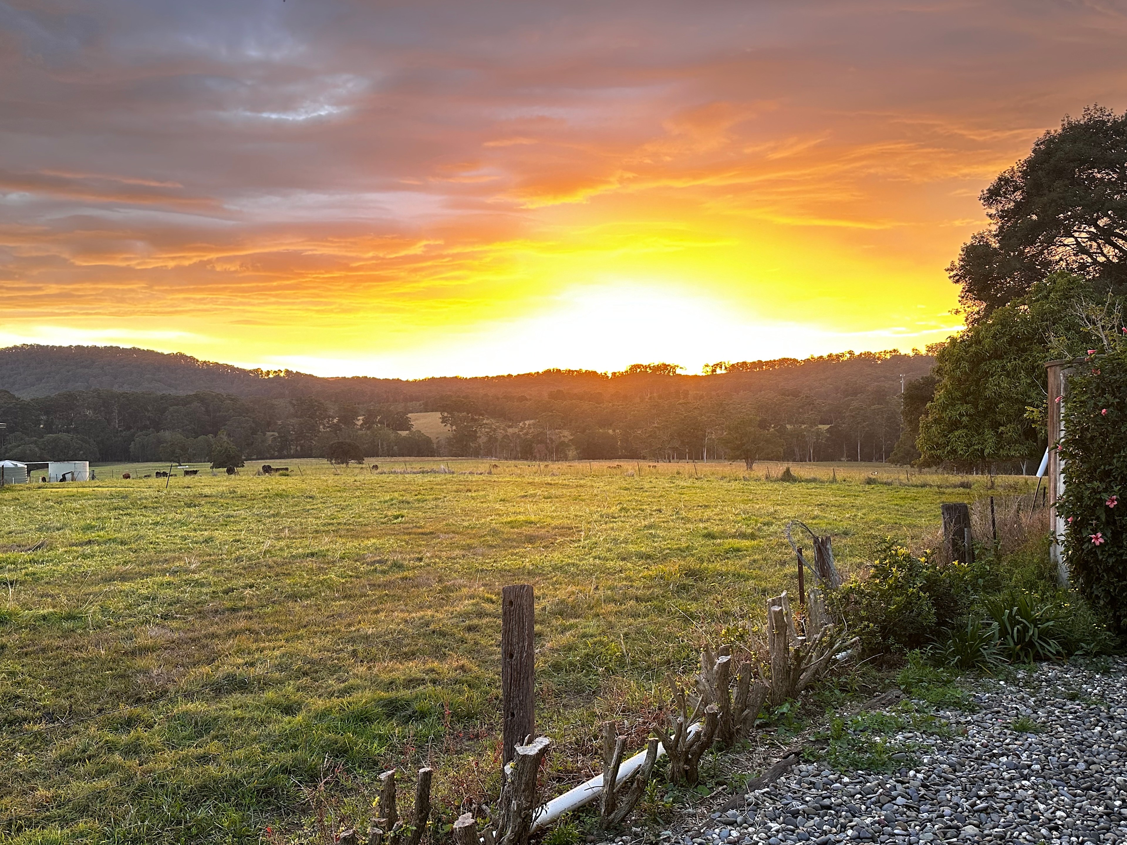 Sunrise over the farm ❤️