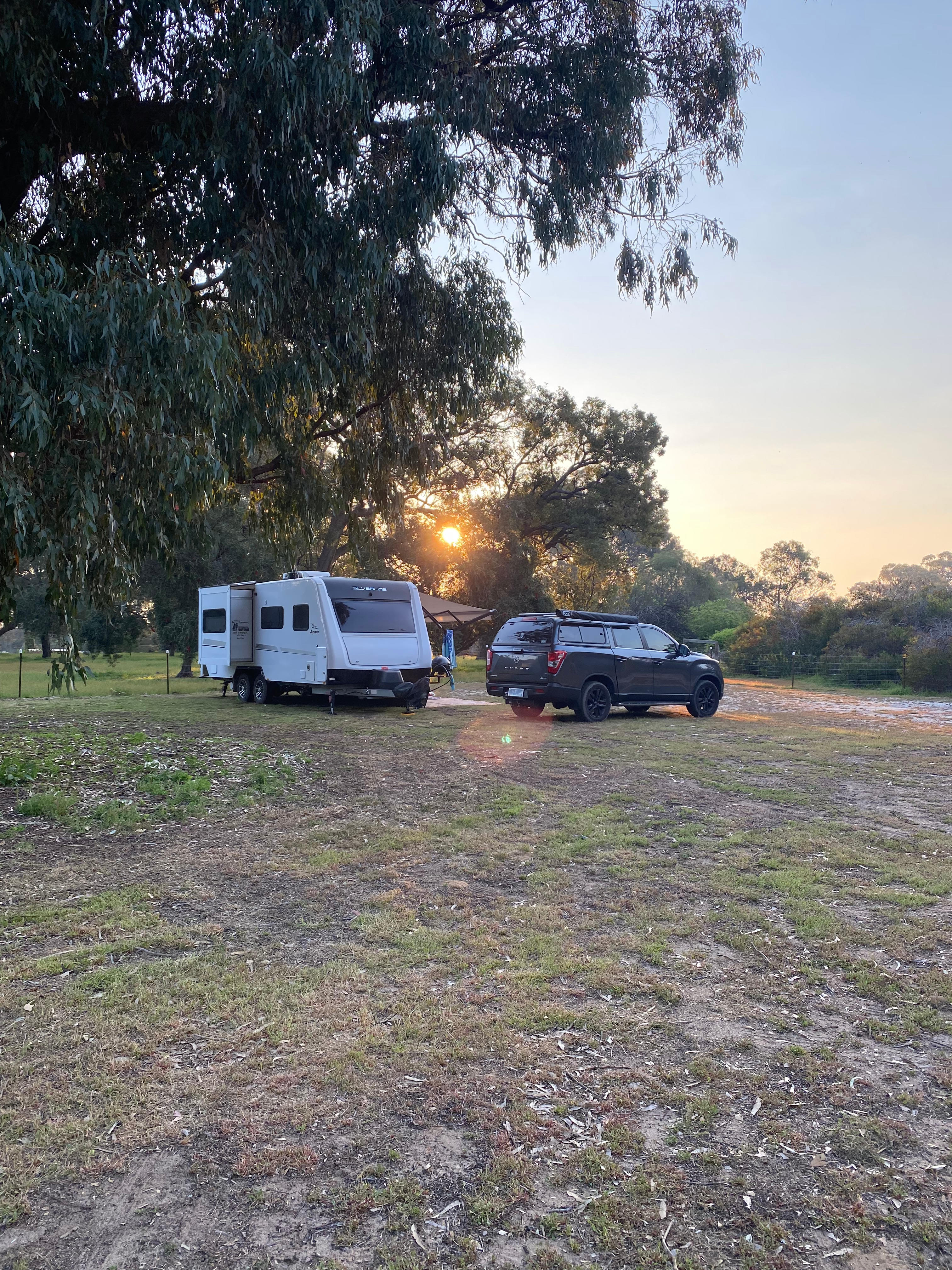 Tranquillity On Tuart