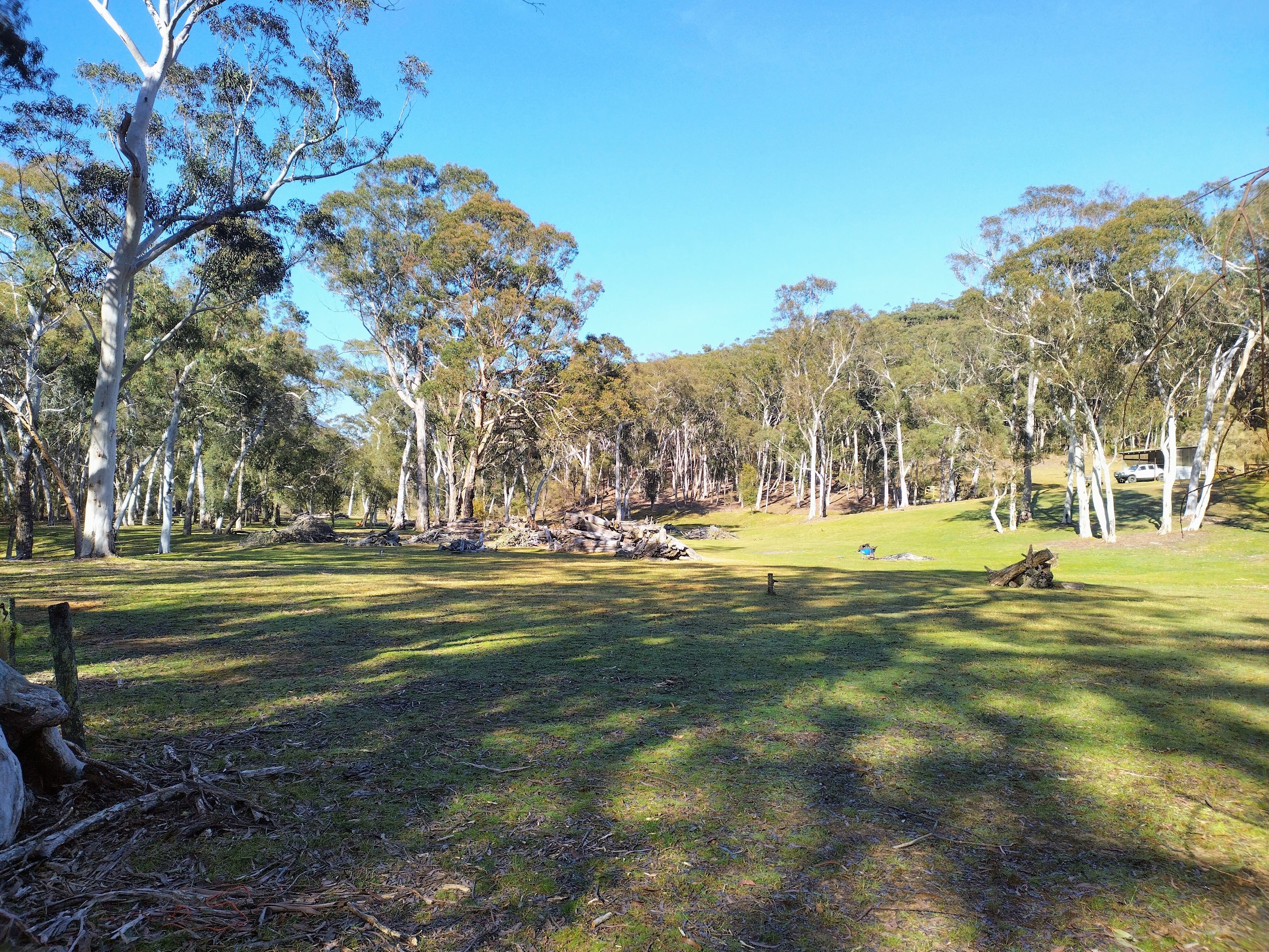 Grassy flats to spread out. 