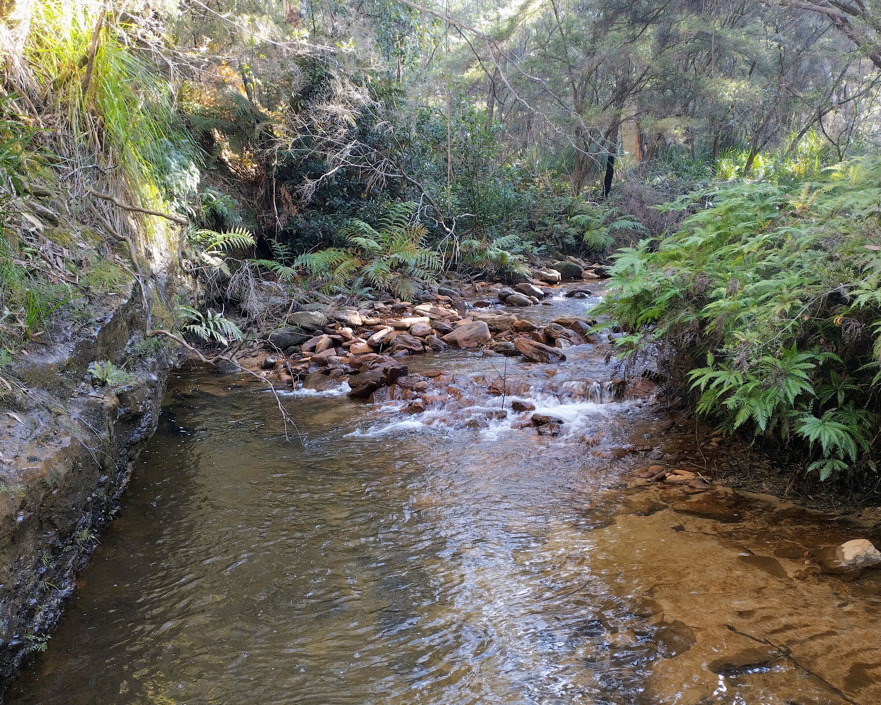 Swimming holes on Megalong Creek