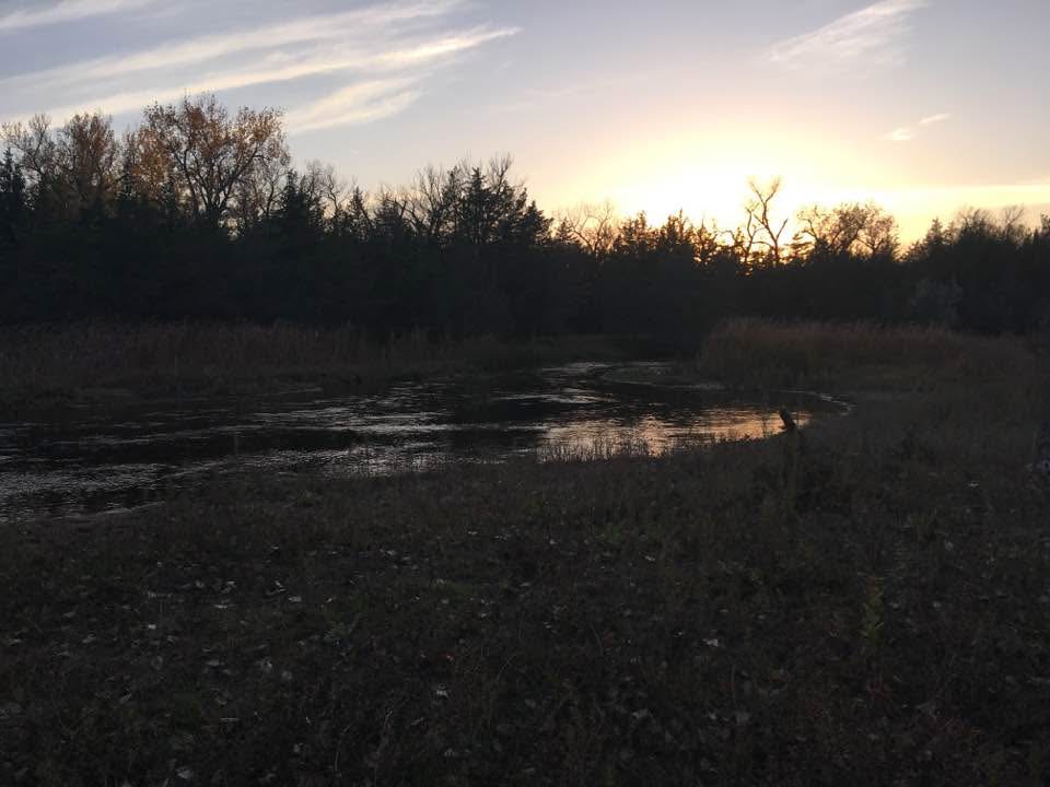 NC River Ranch – RV Camping & Cows ⭐