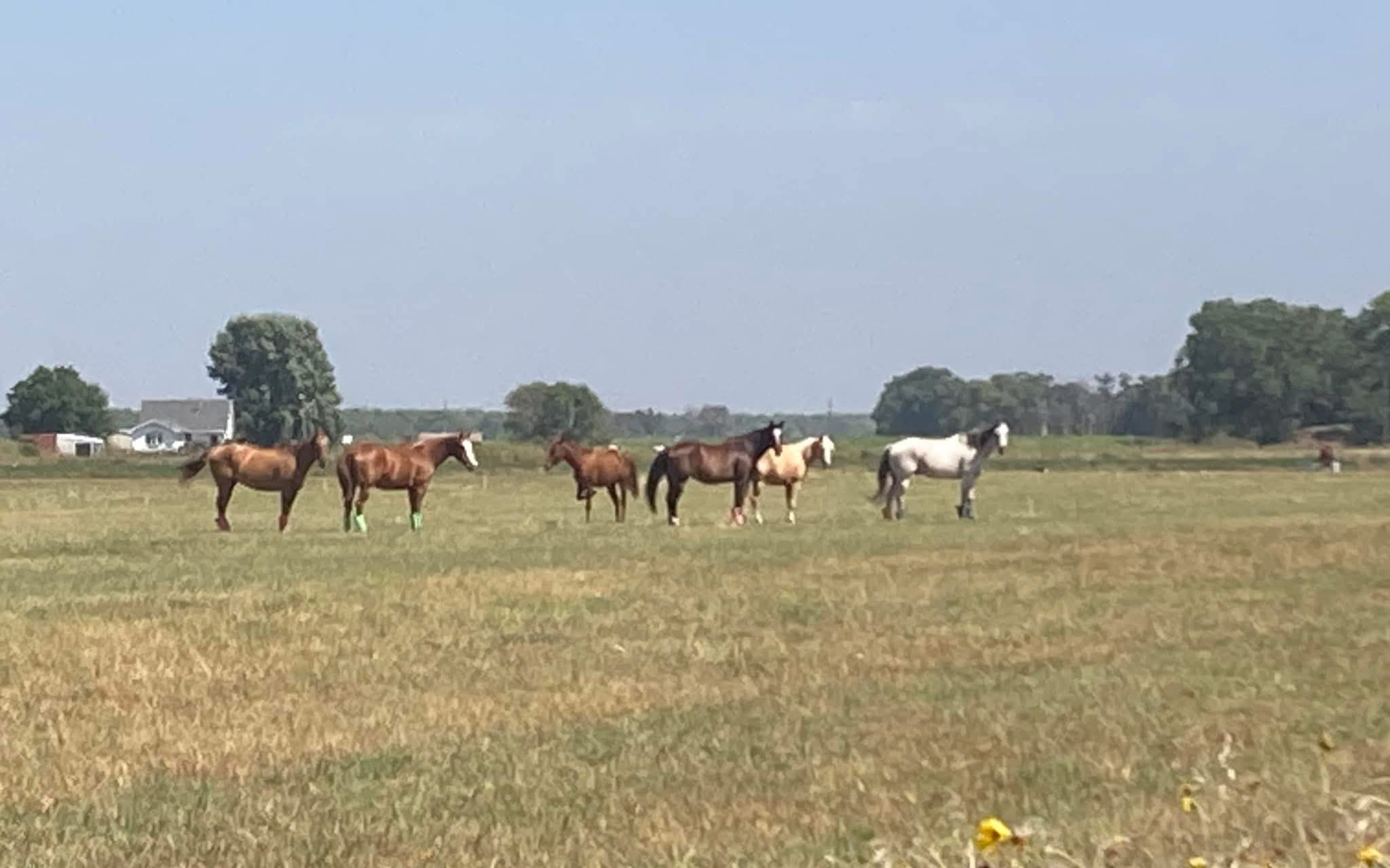 Outdoor ADVENTURE Awaits off I80