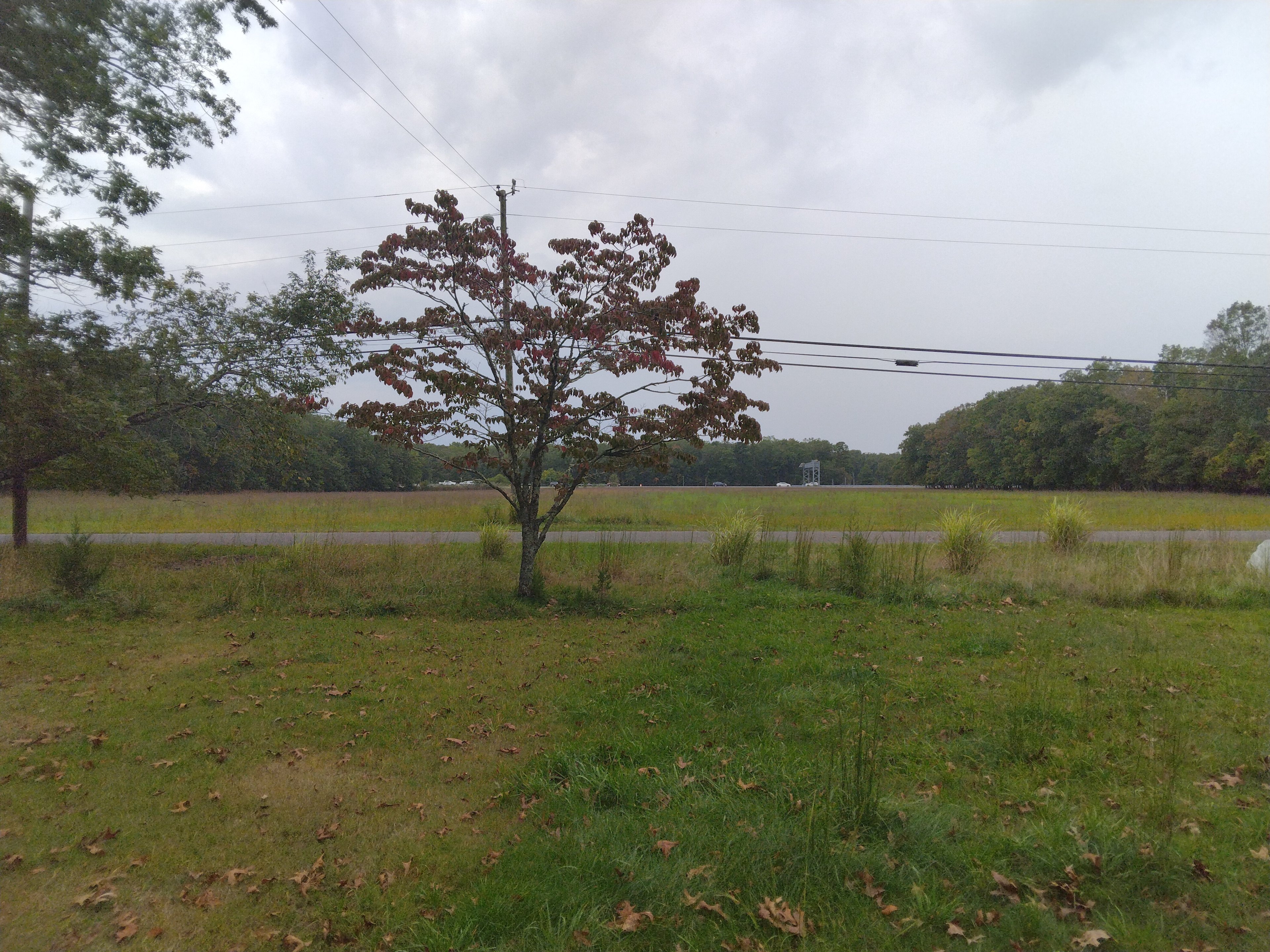 ACE RV PARK over 55 seasonal