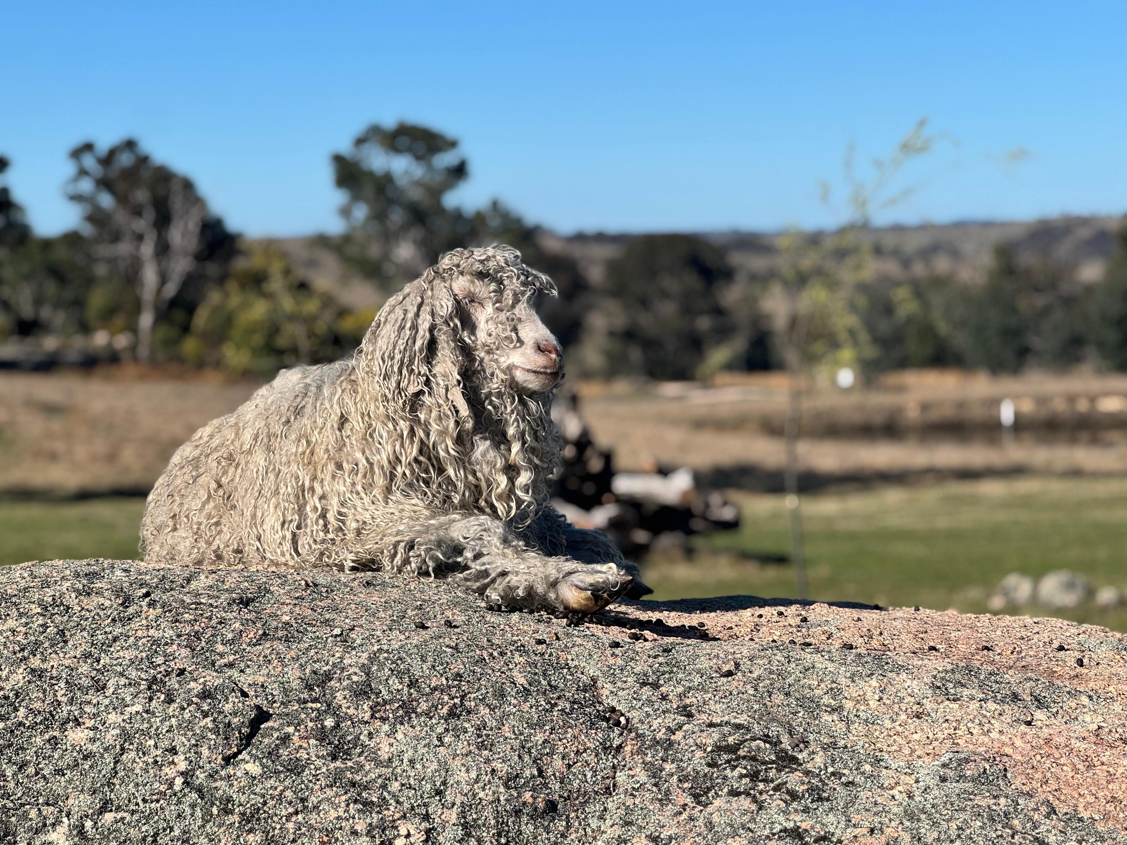 Kookaburra Camping & Caravan Park
