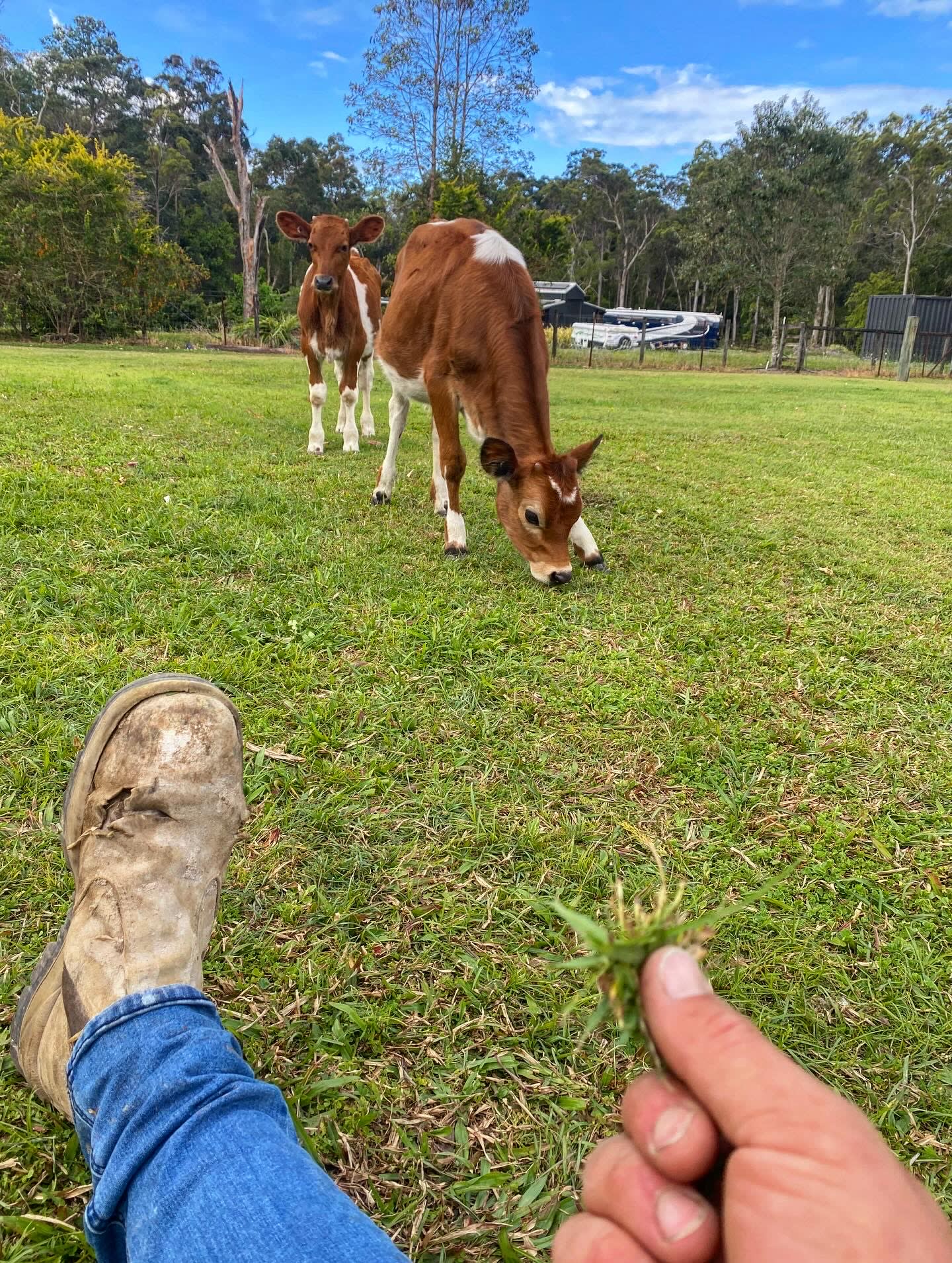Rocky Creek Grasslands