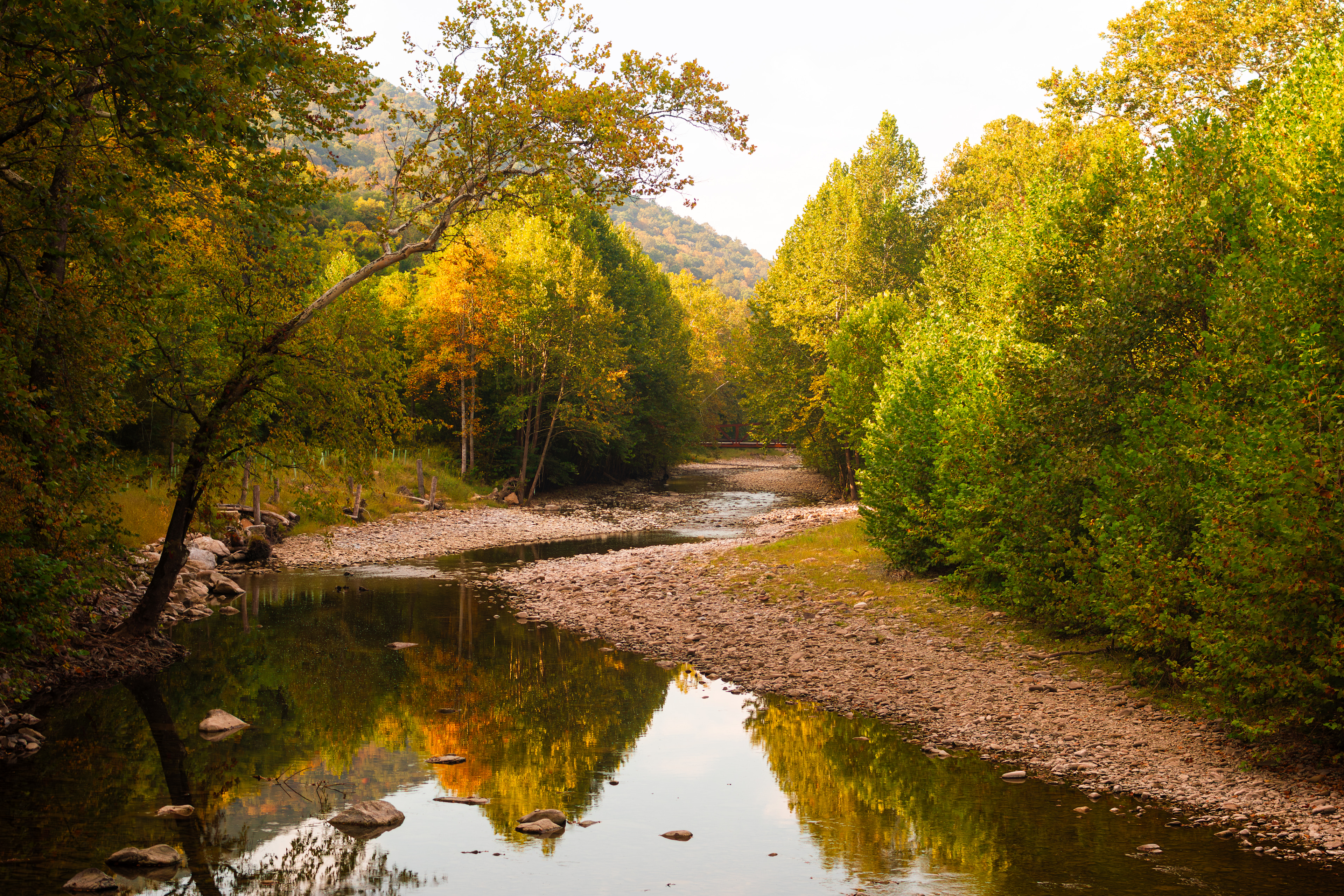 Views on the Seneca Rock Trail