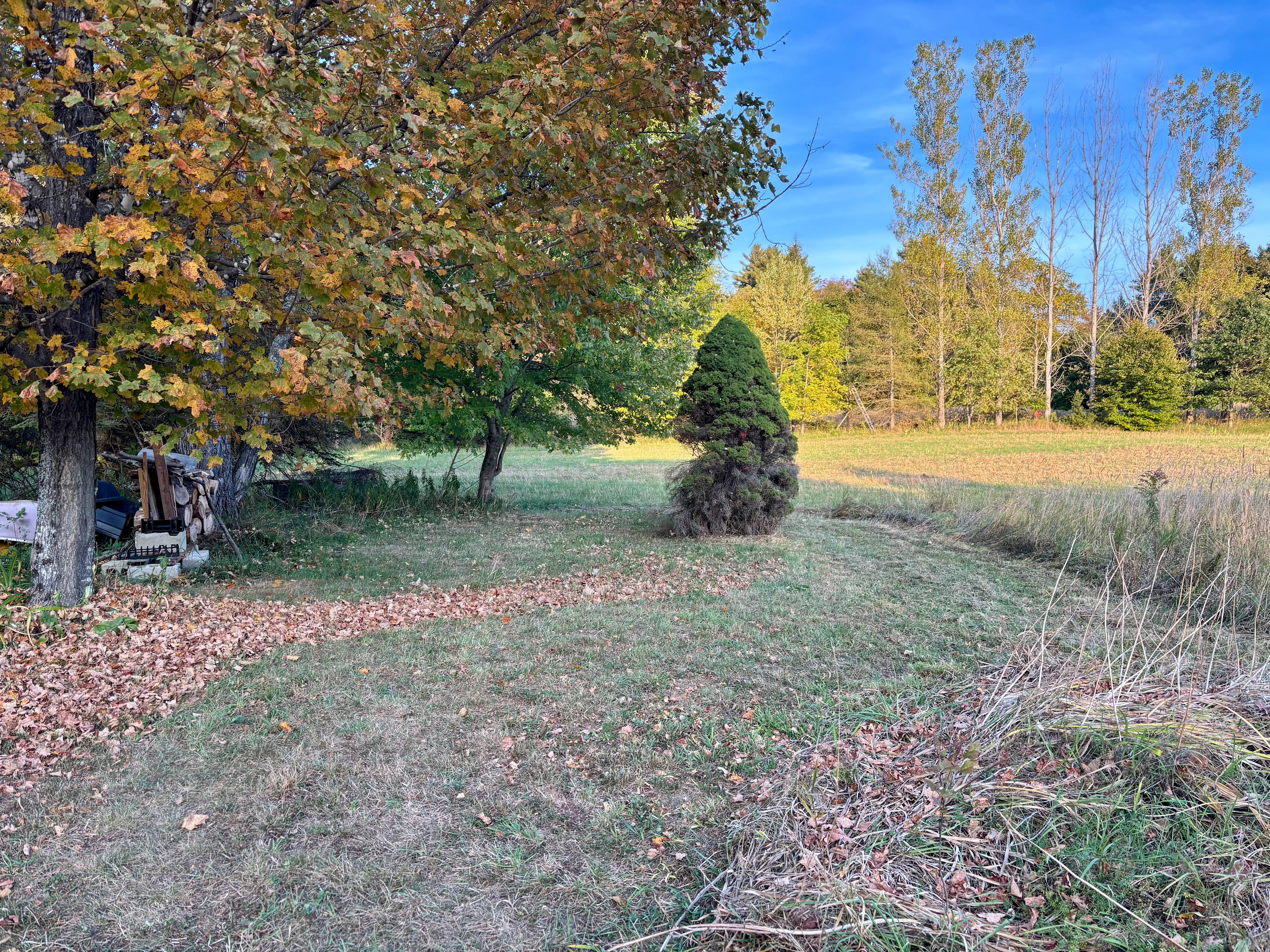 Meadow Camping On Windham Hill