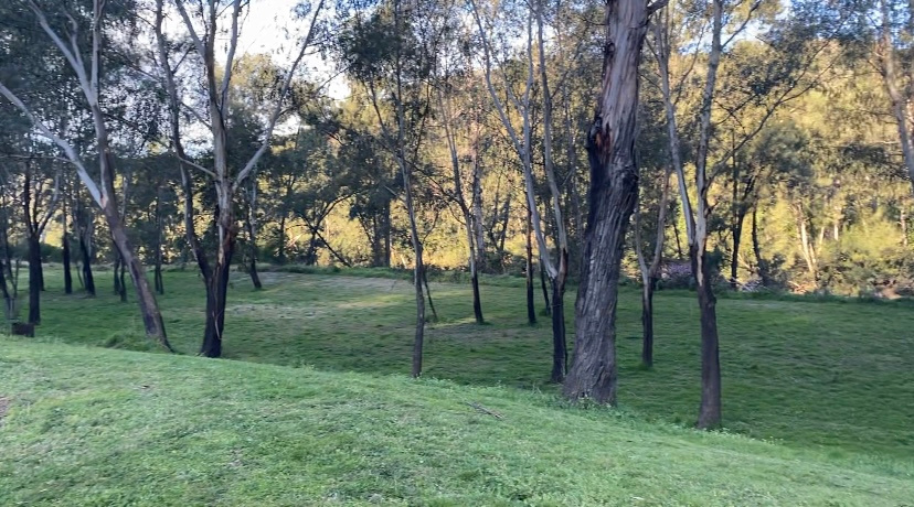 Whispering Gums Colo River Camping