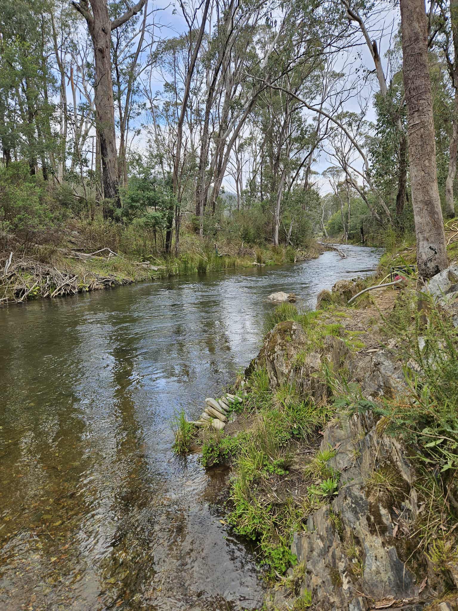 Stormyacres glamping experience