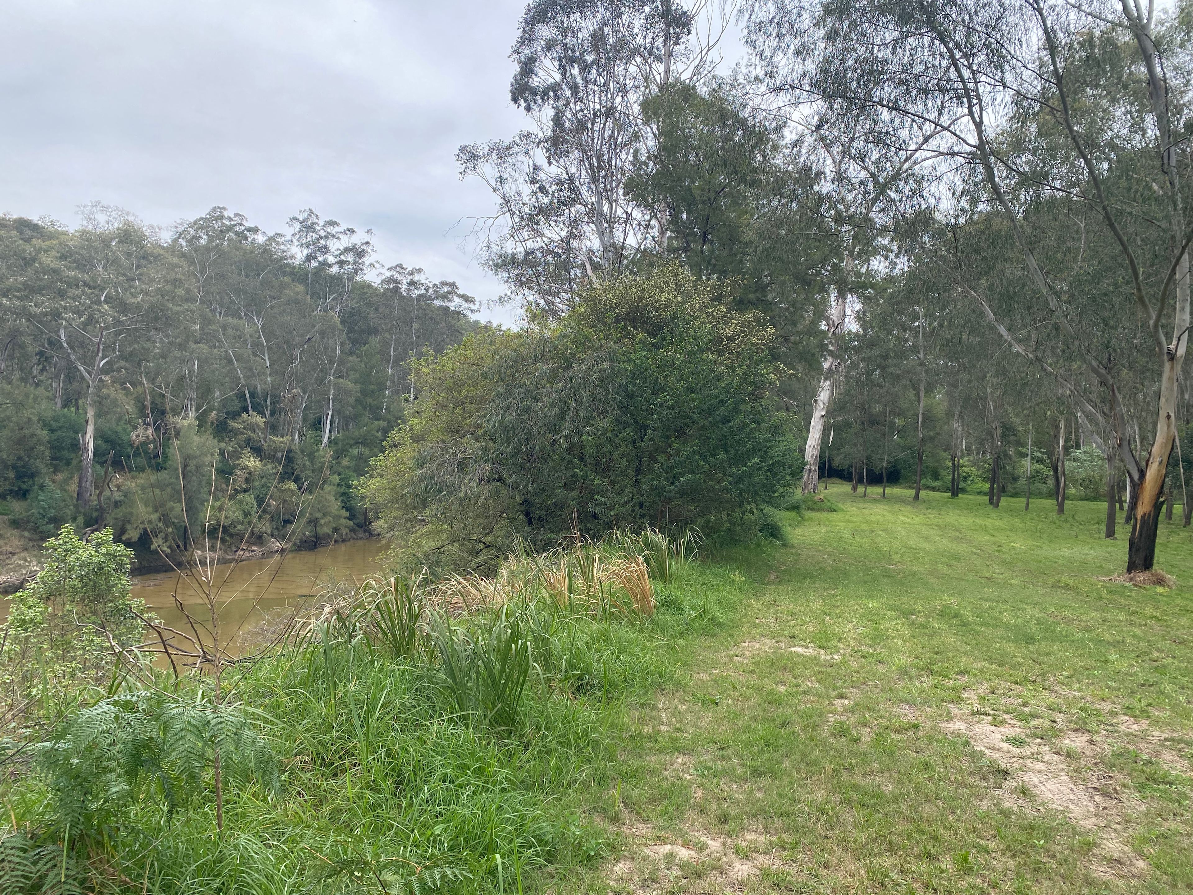 Whispering Gums Colo River Camping