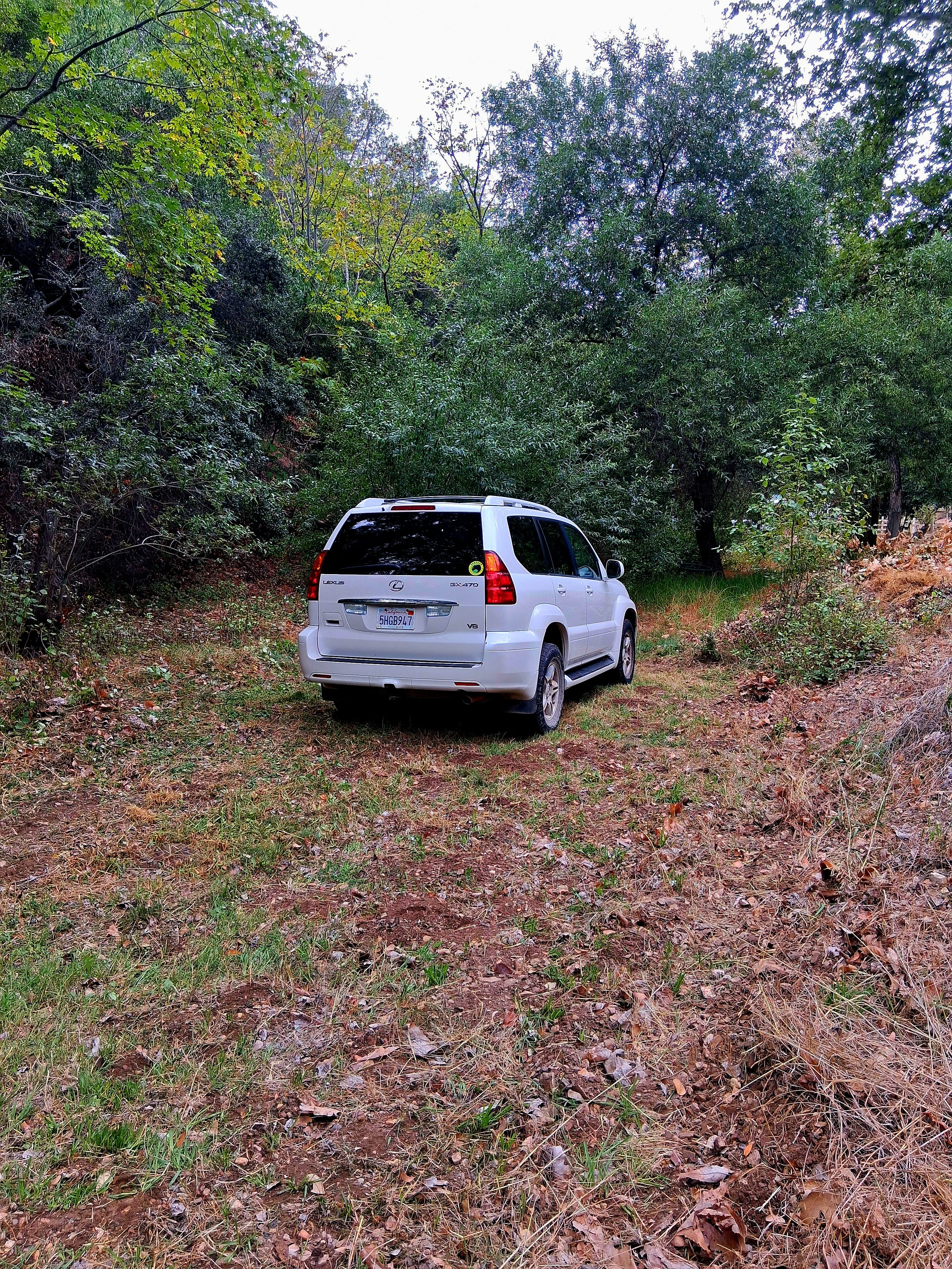 Monthly Creekside RV Site