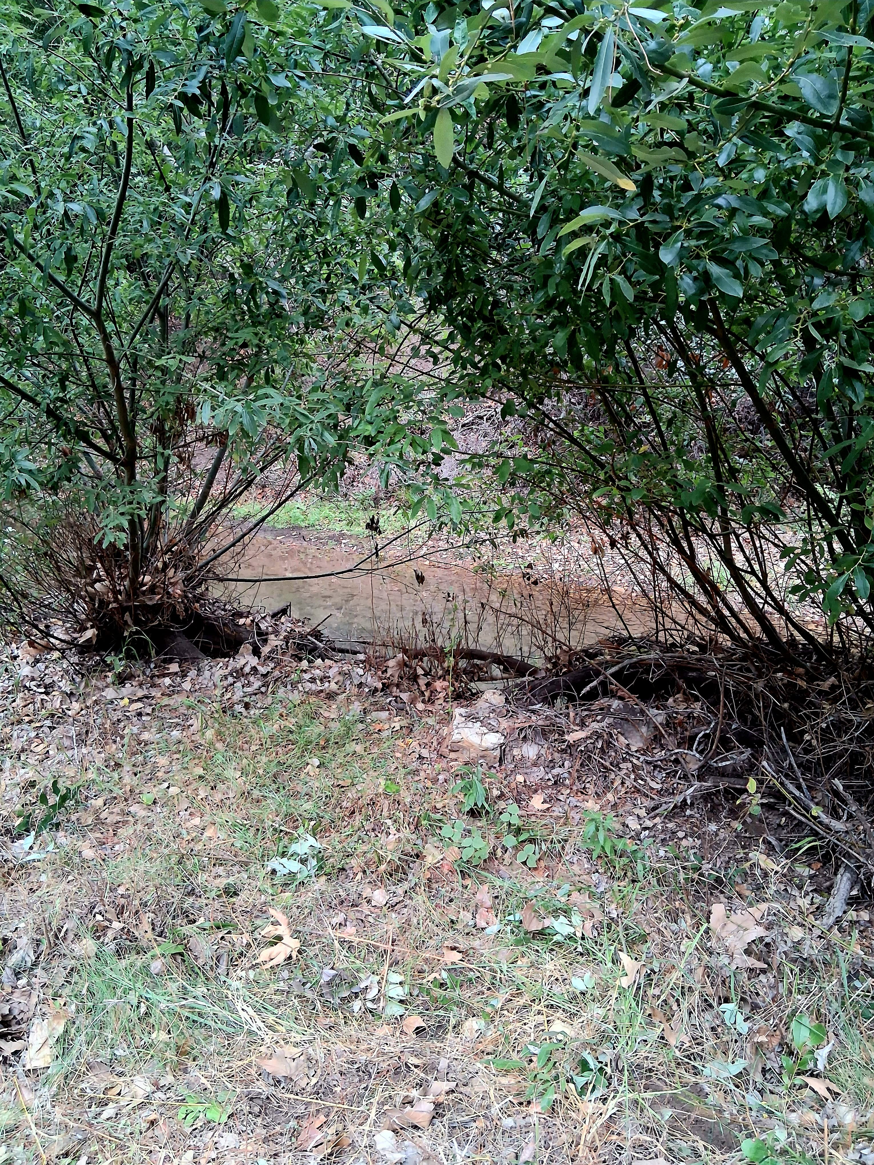 Monthly Creekside RV Site