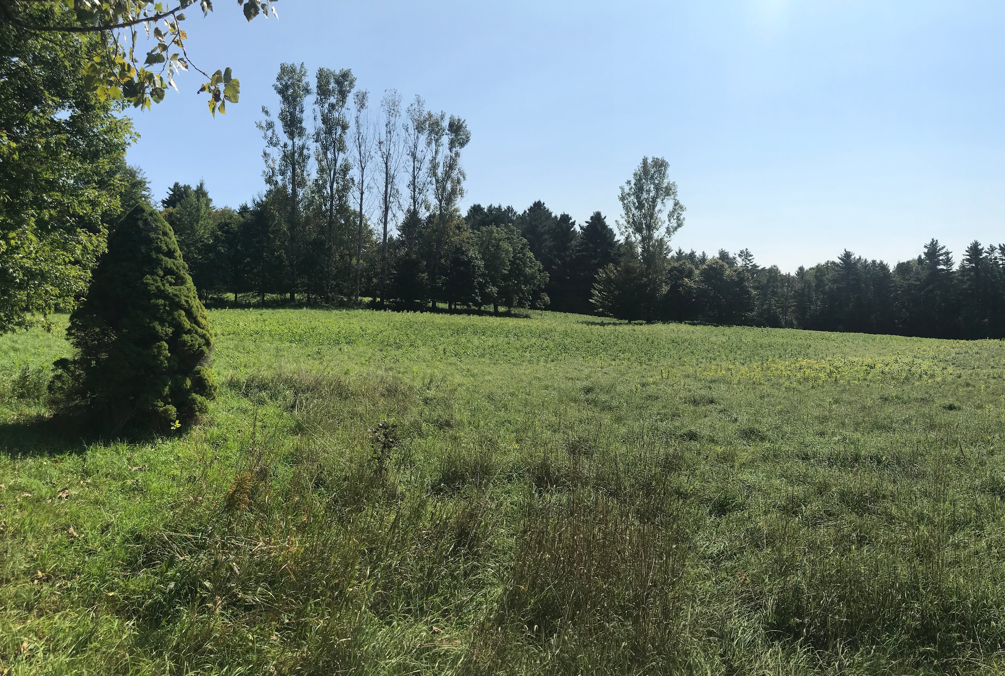 Meadow Camping On Windham Hill