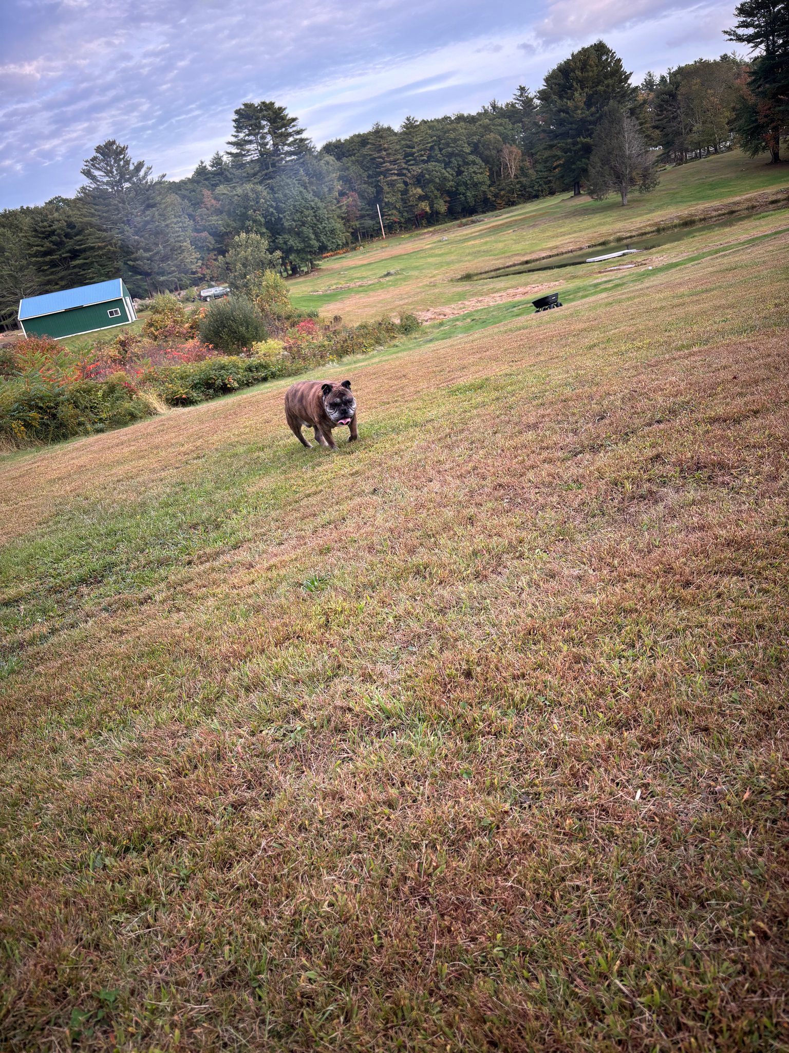 Winimusett Brook Farm Retreat