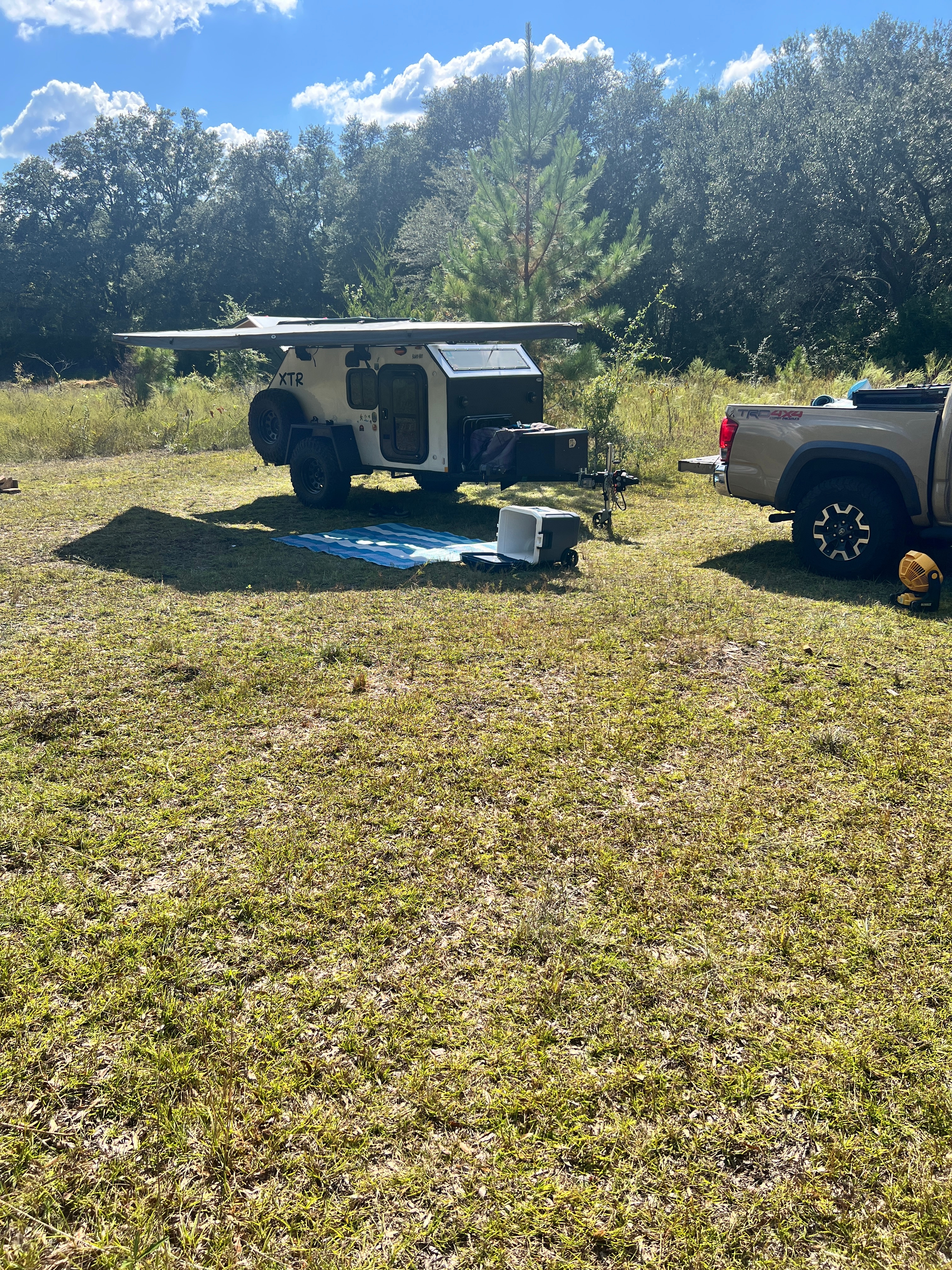 The Hammock Under the Oaks
