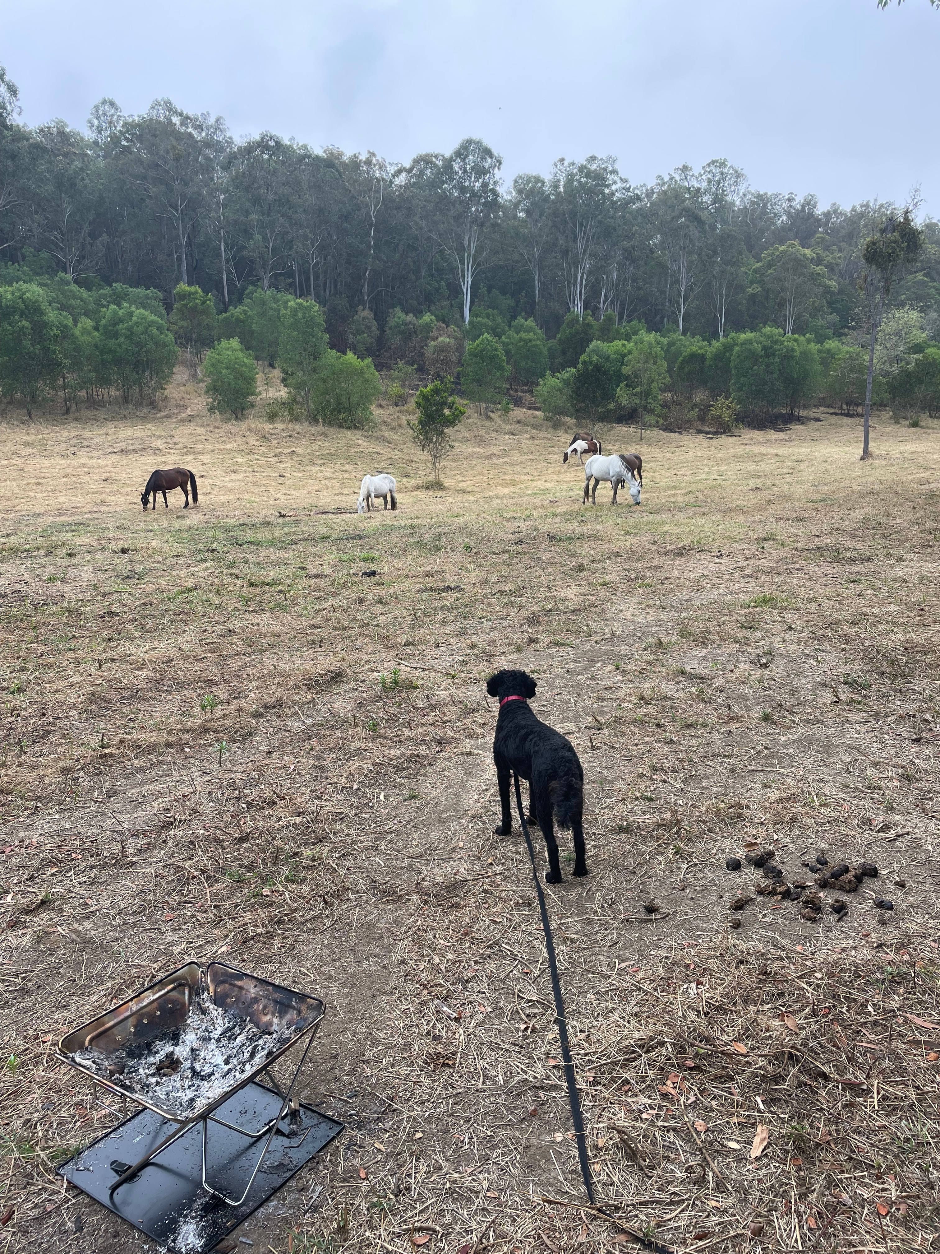 Hidden Camp Farm Stay