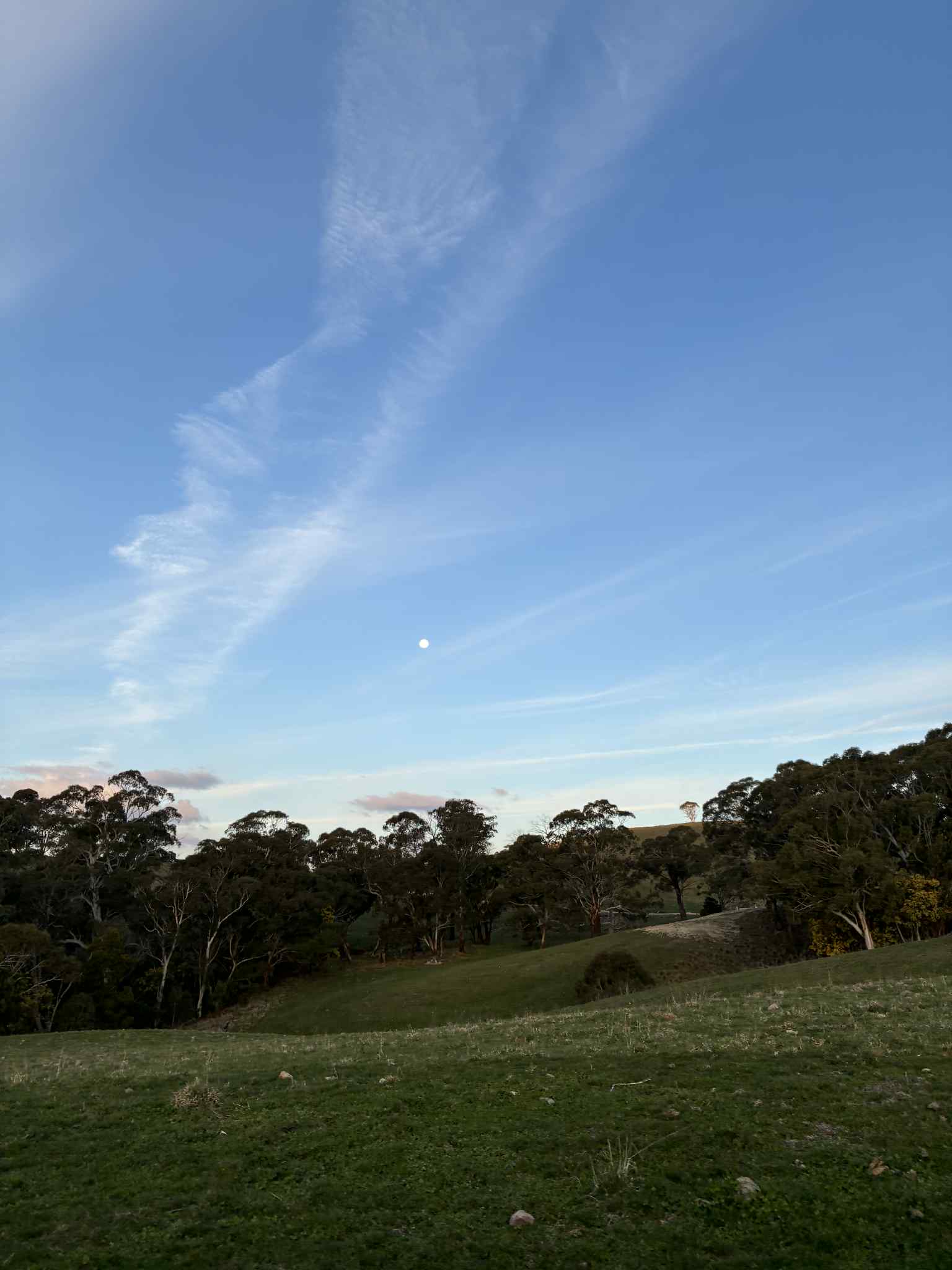 Honeysuckle Group Camping