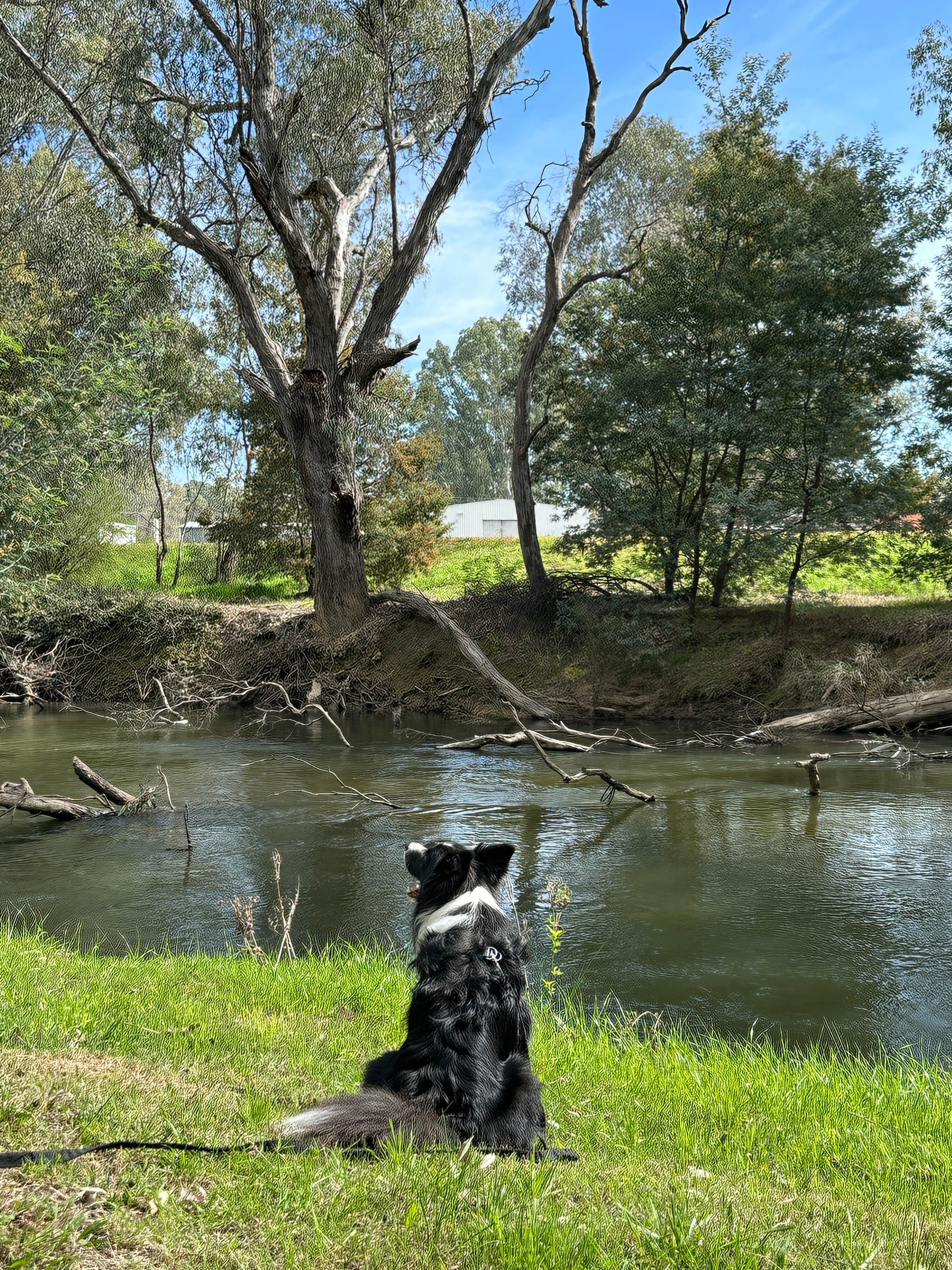 OvensKing River Retreat