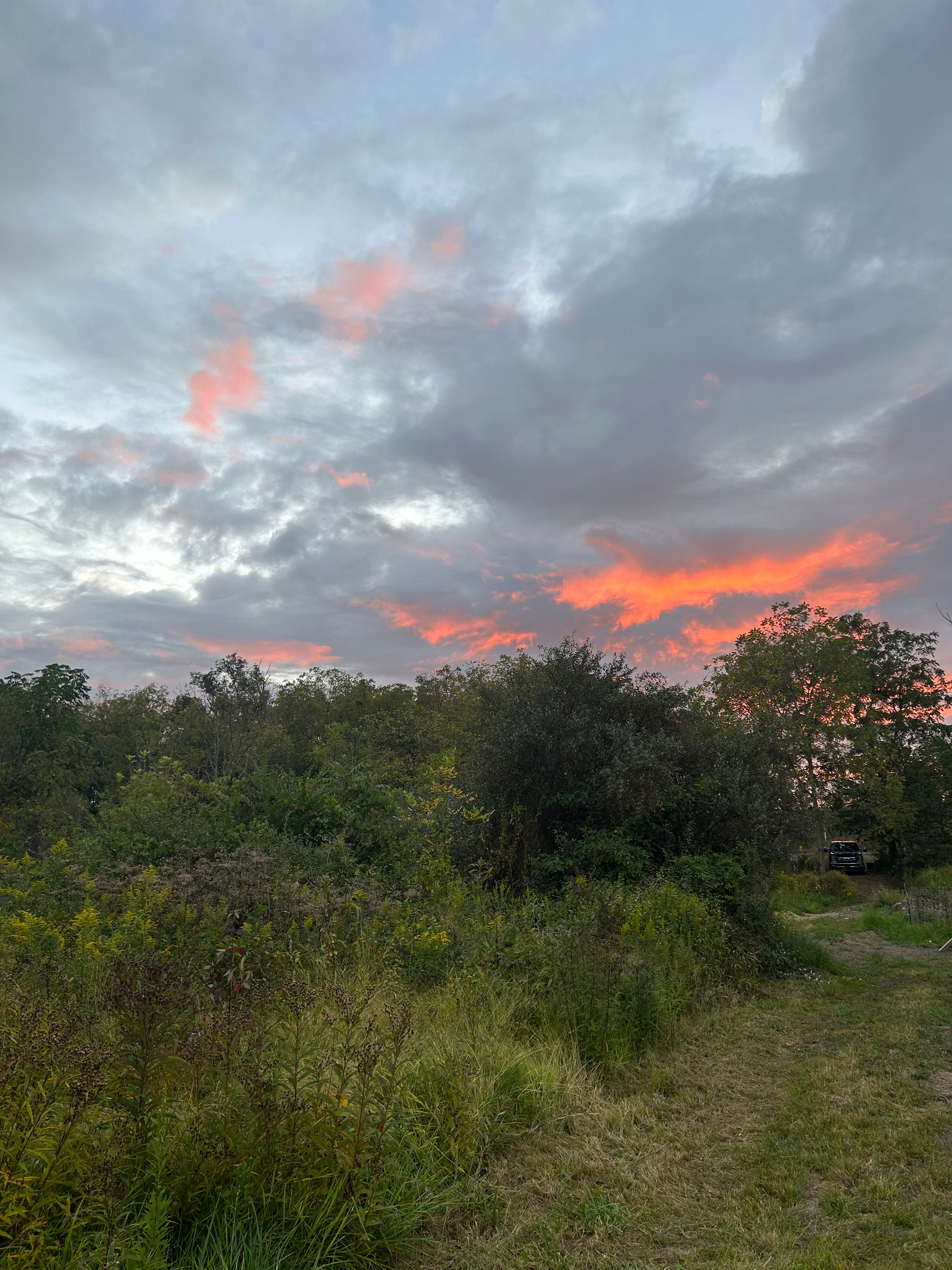 Wolff Springs Homestead