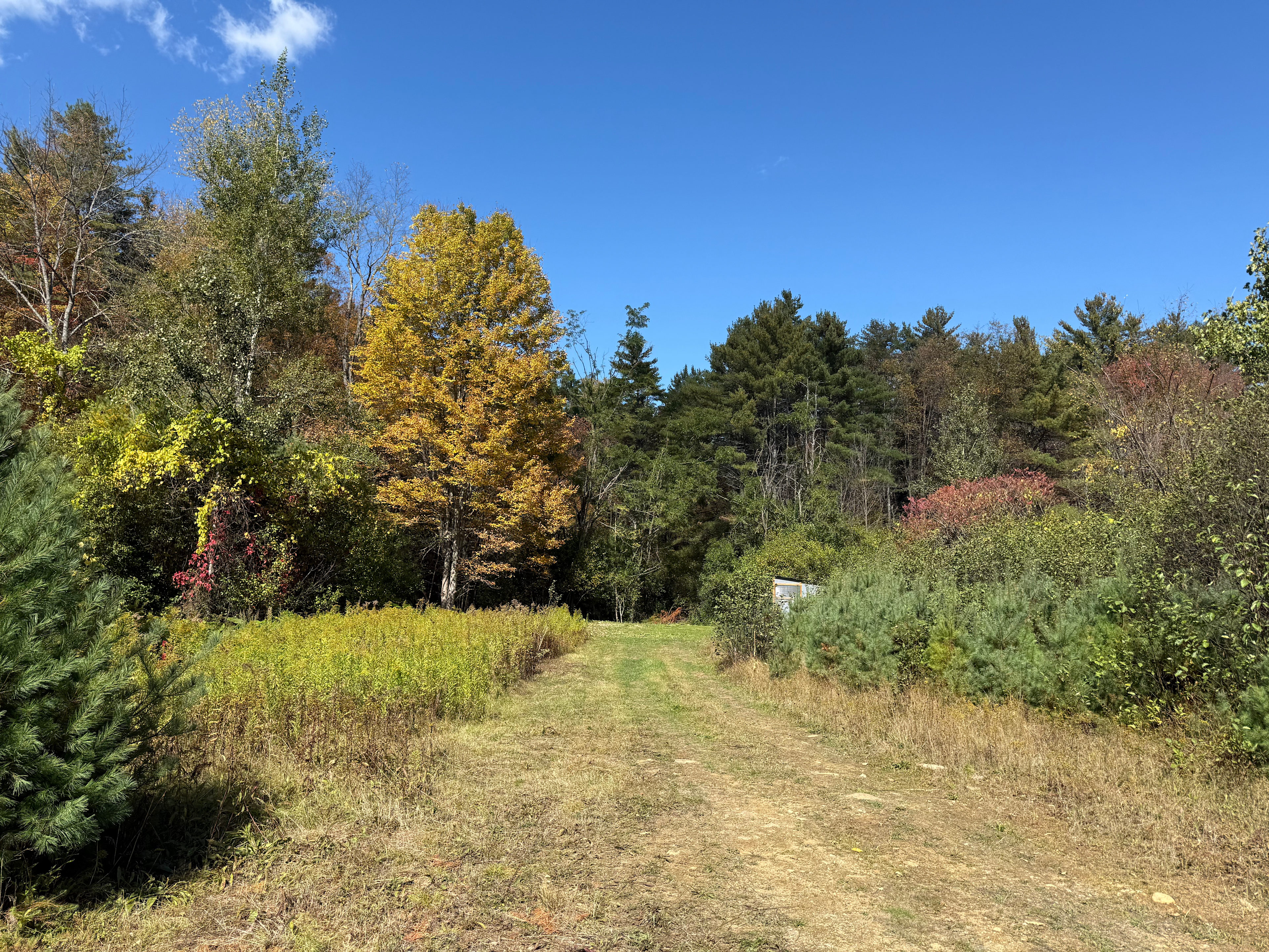 The view as you drive into Doc's Crossing.  Close to the road and easy access for any vehicle yet tucked away for complete privacy.