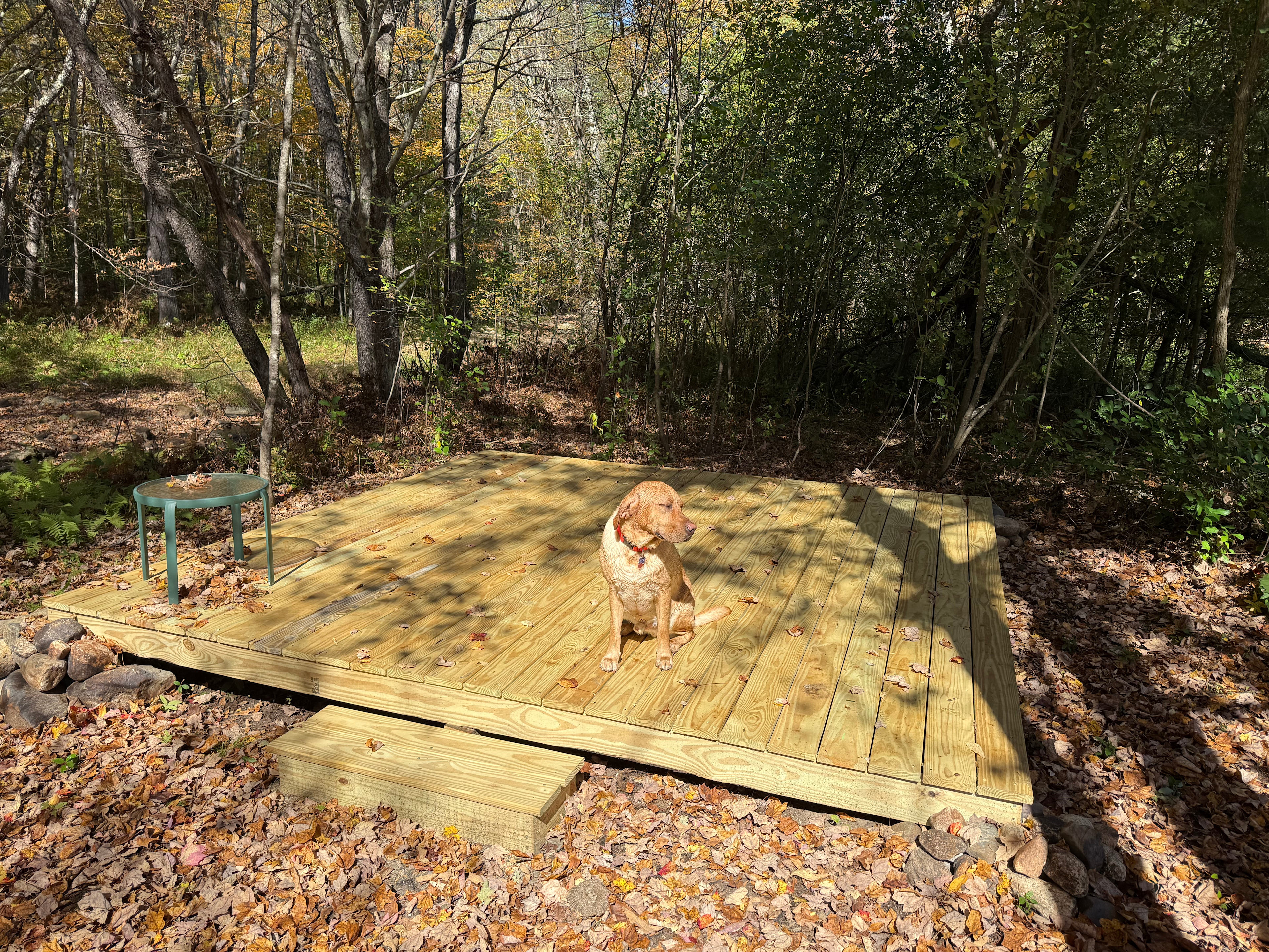 Our yellow lab Doc.  We hope your pup will enjoy our site as much as he does.