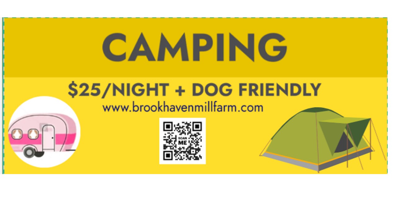 Brookhaven Mill Farm (3 campsites)