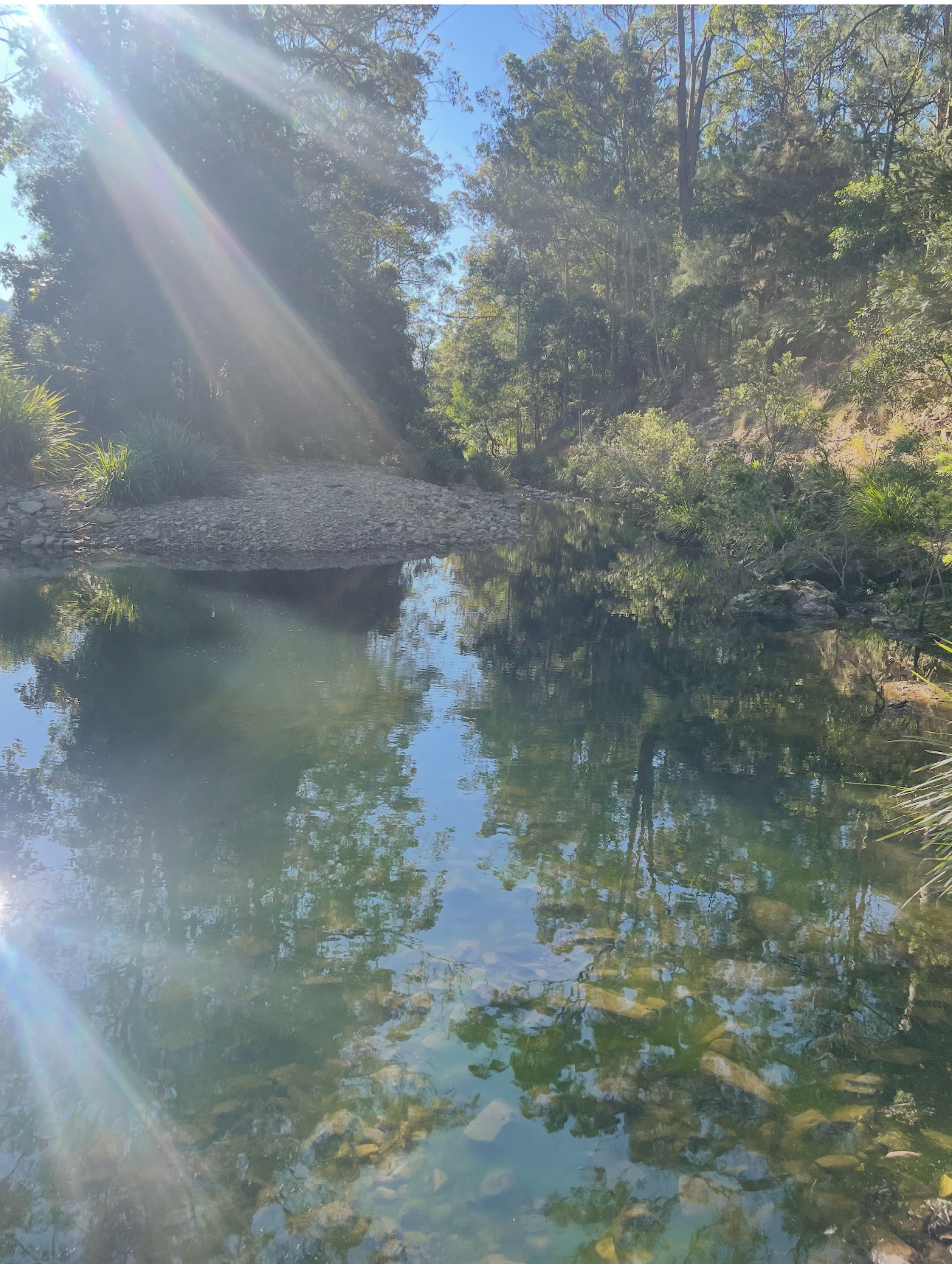 The Creekside Collective